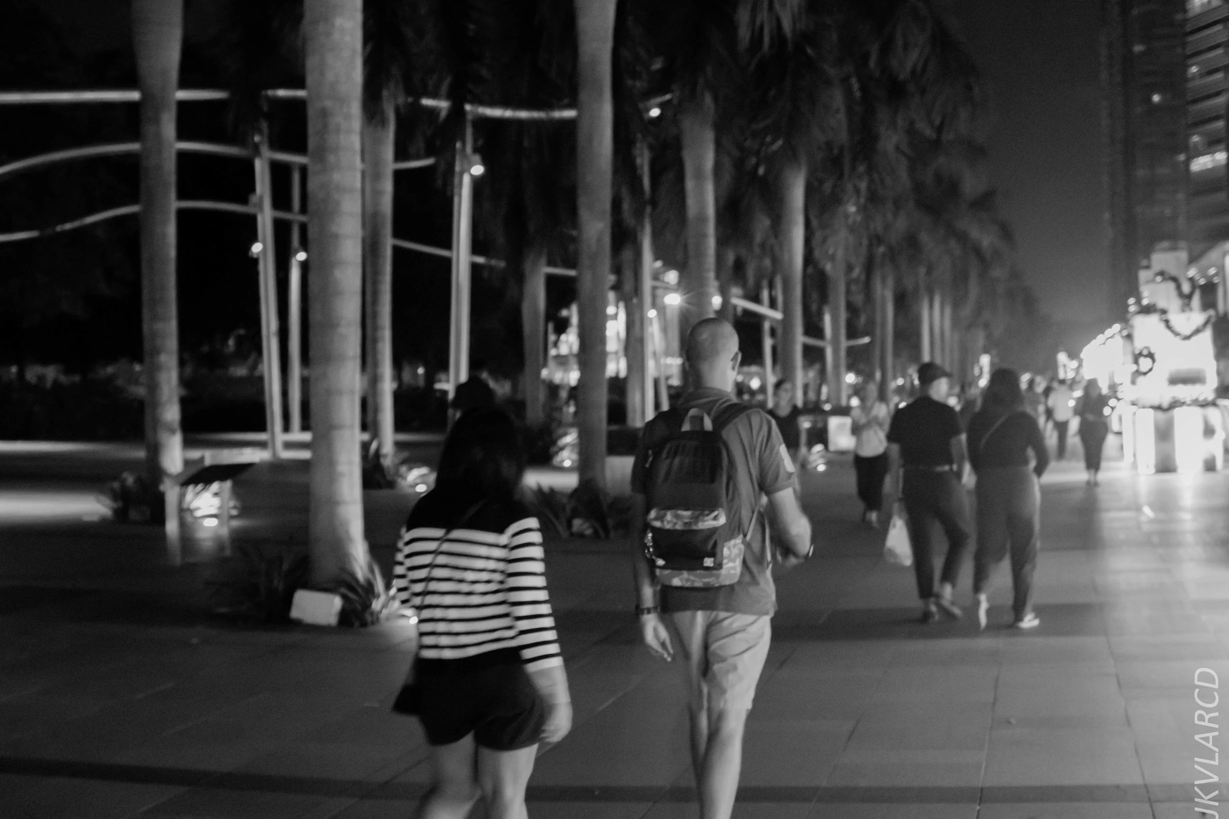 EOS 7D Mark II_2018_12_08_0342.jpg