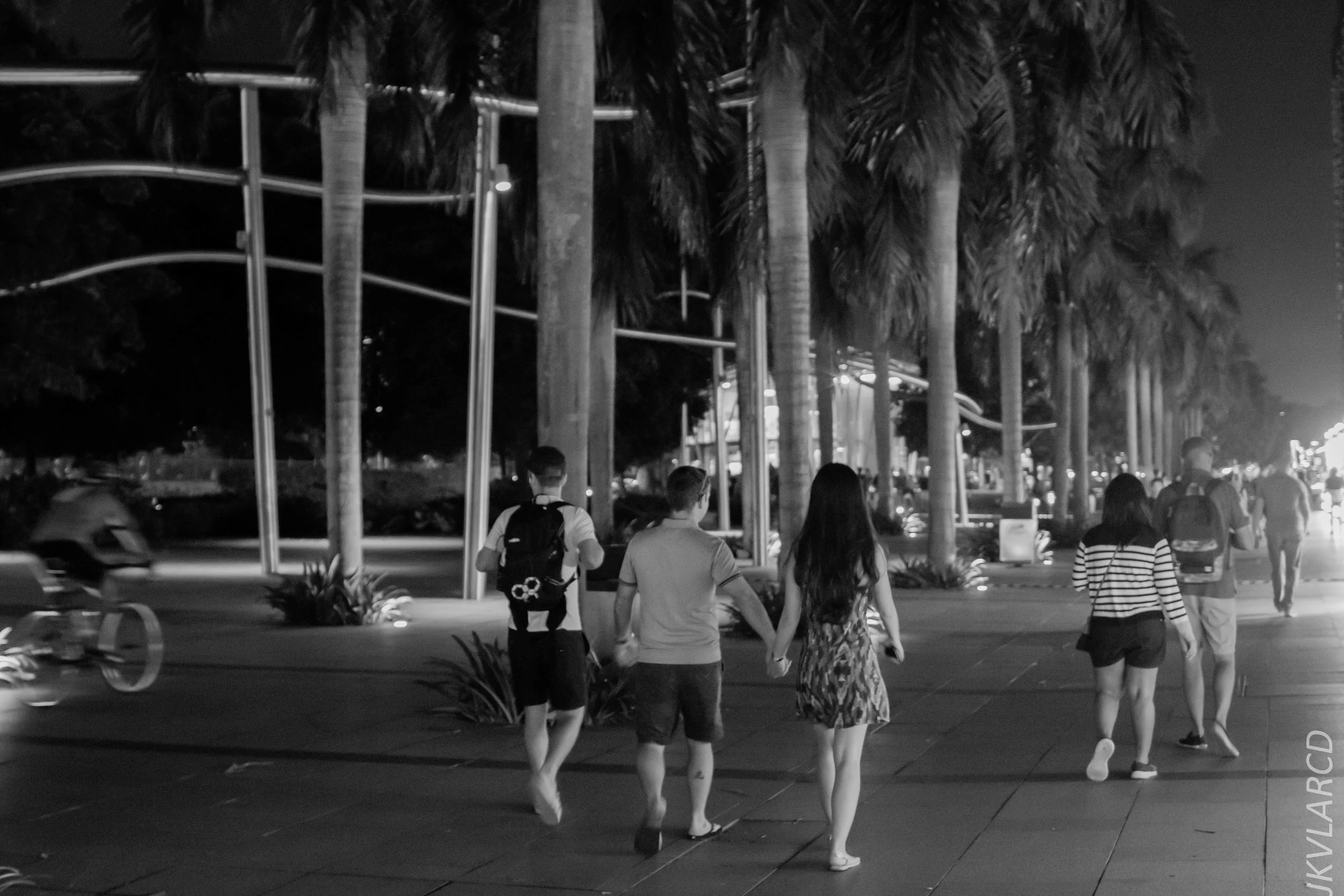 EOS 7D Mark II_2018_12_08_0345.jpg