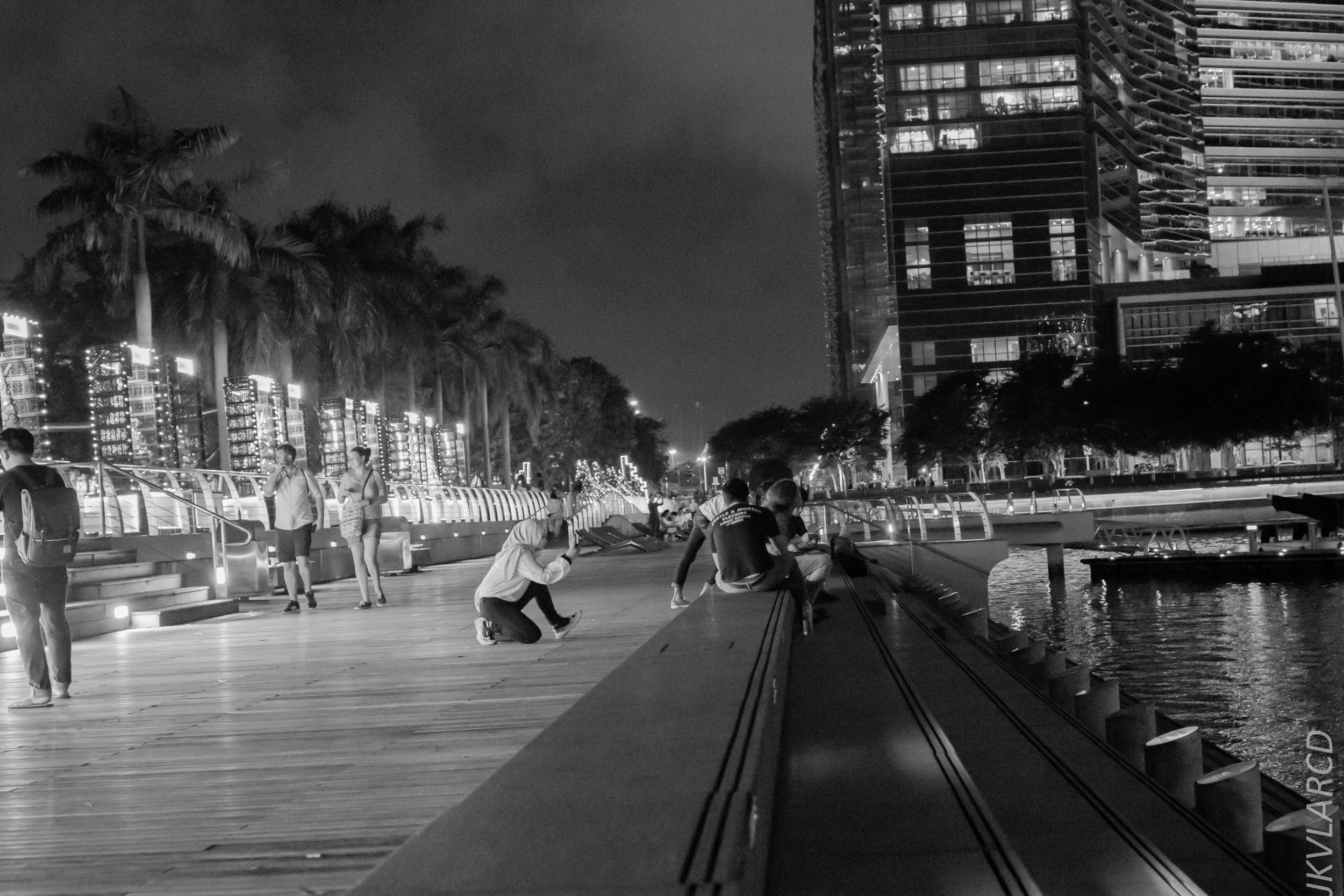 EOS 7D Mark II_2018_12_08_0353.jpg