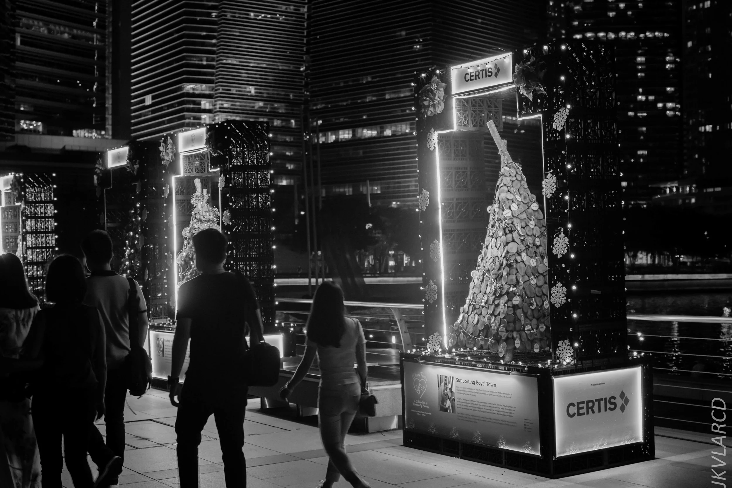 EOS 7D Mark II_2018_12_08_0357.jpg