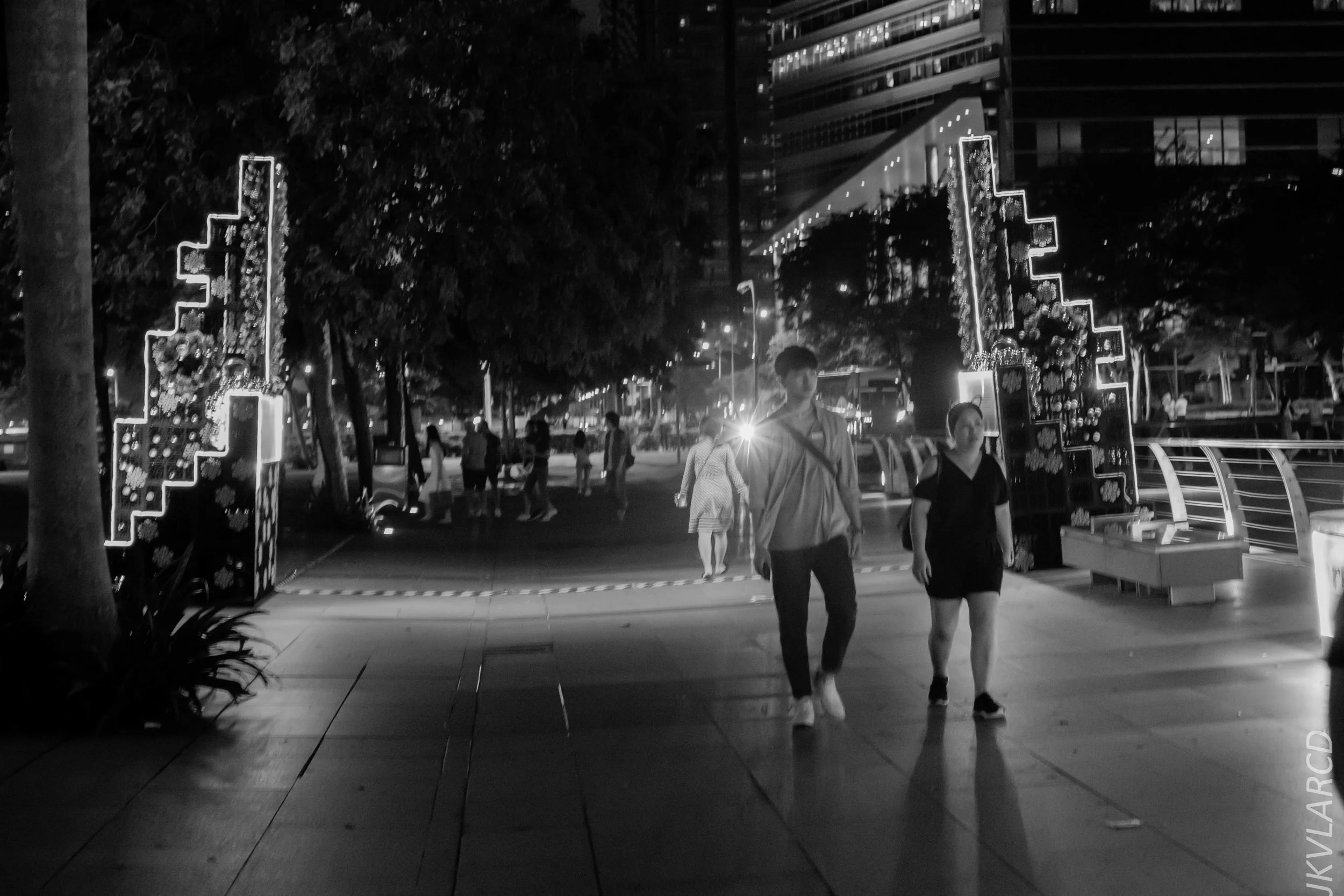 EOS 7D Mark II_2018_12_08_0359.jpg