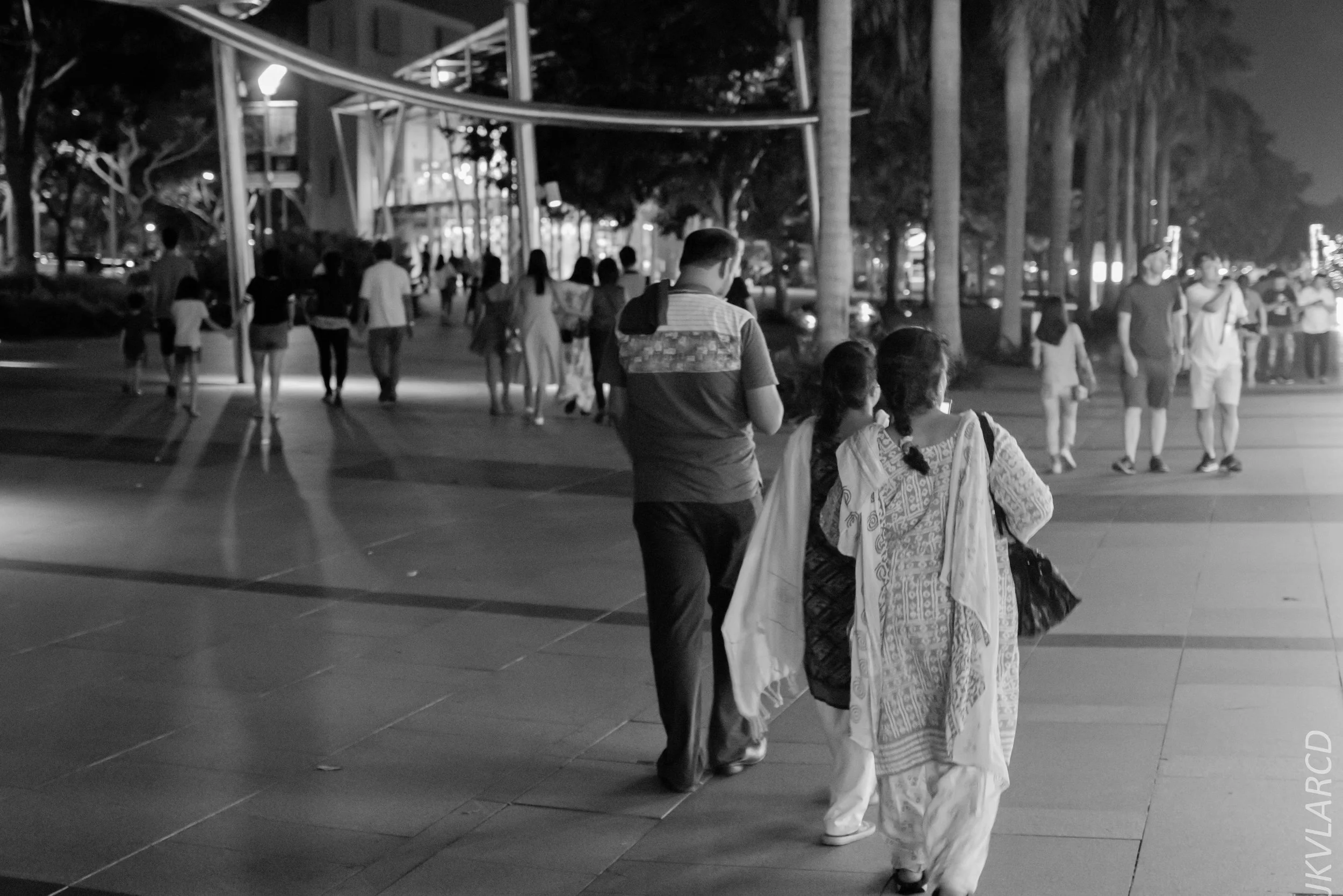 EOS 7D Mark II_2018_12_08_0358.jpg