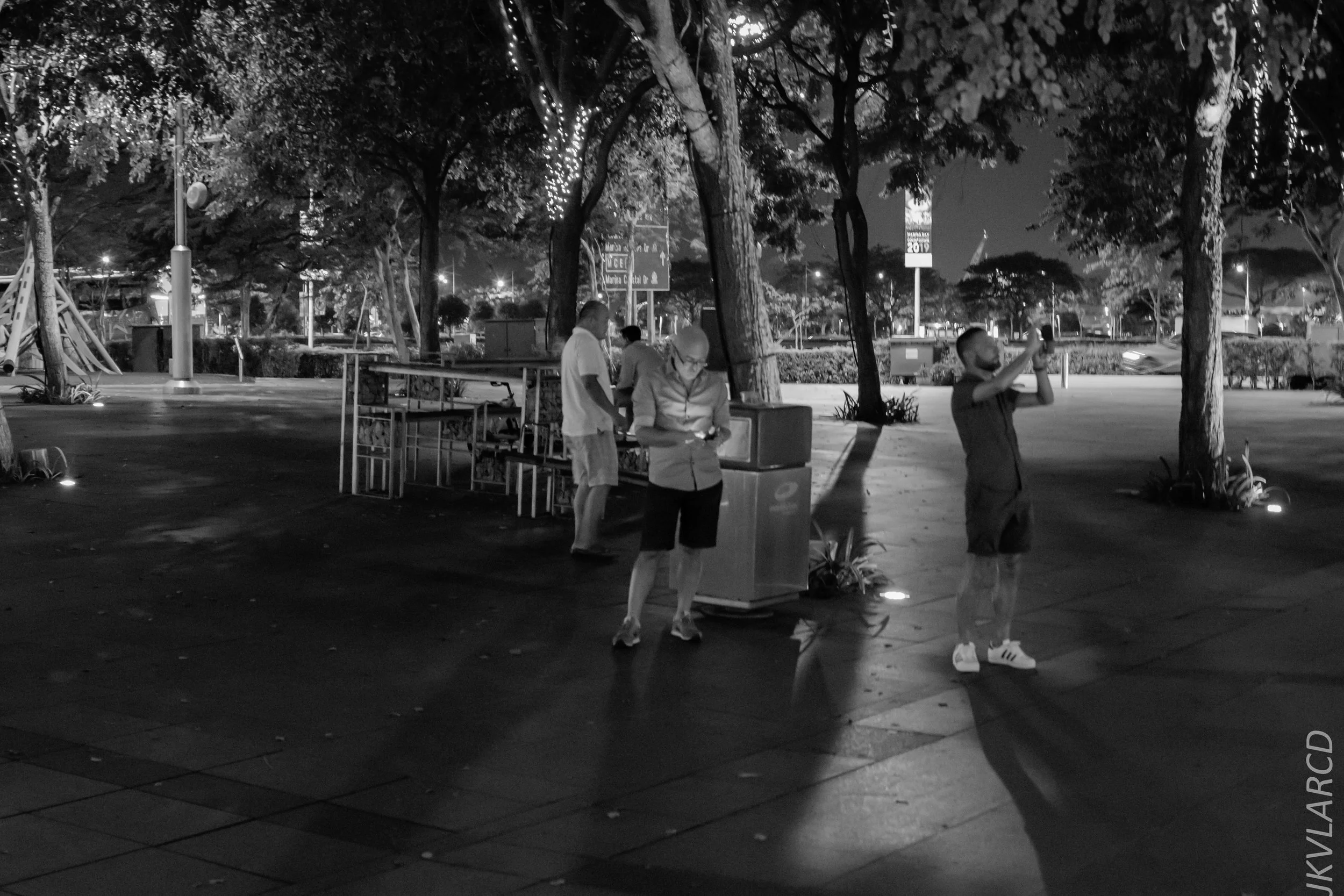 EOS 7D Mark II_2018_12_08_0361.jpg