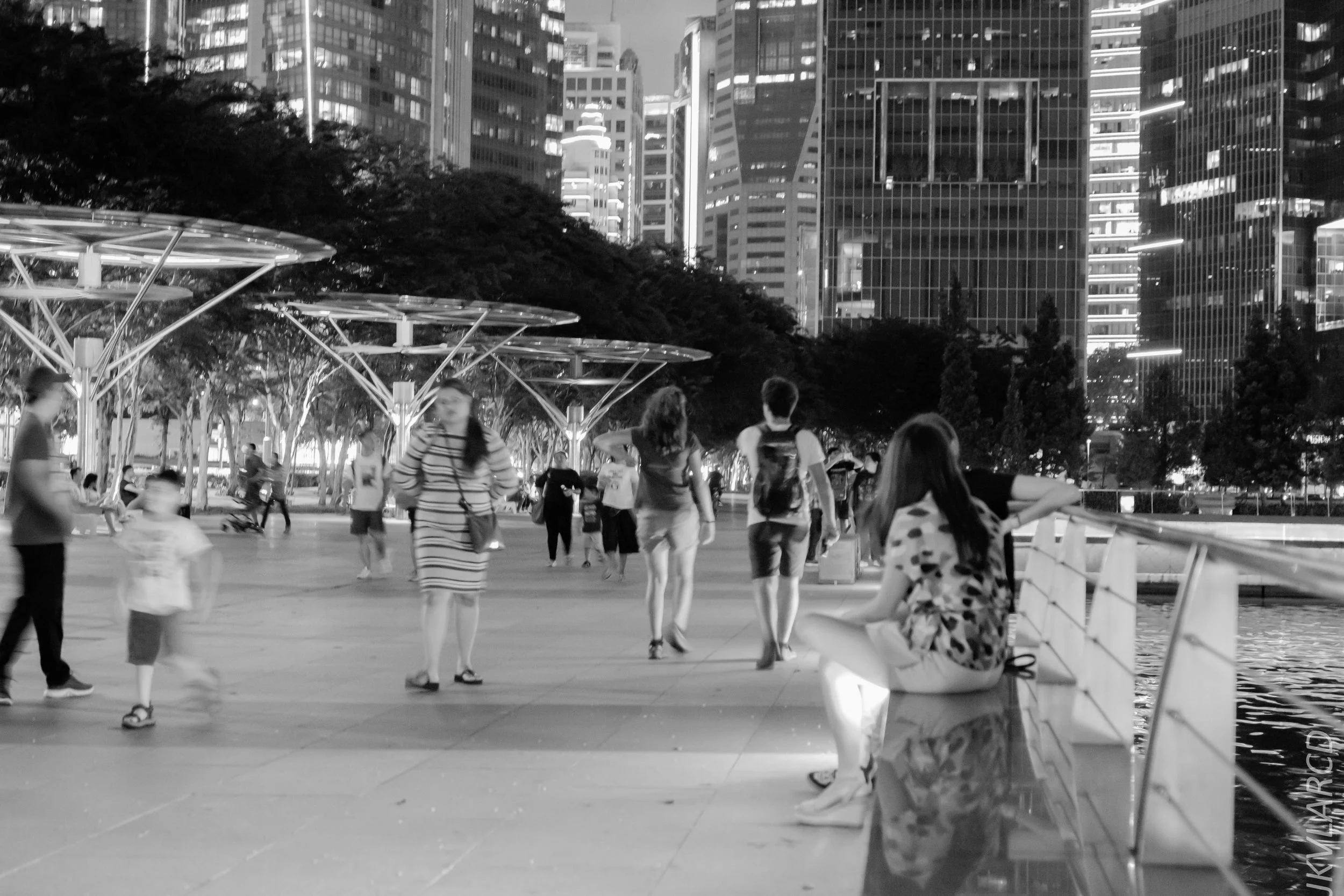 EOS 7D Mark II_2018_12_08_0369.jpg