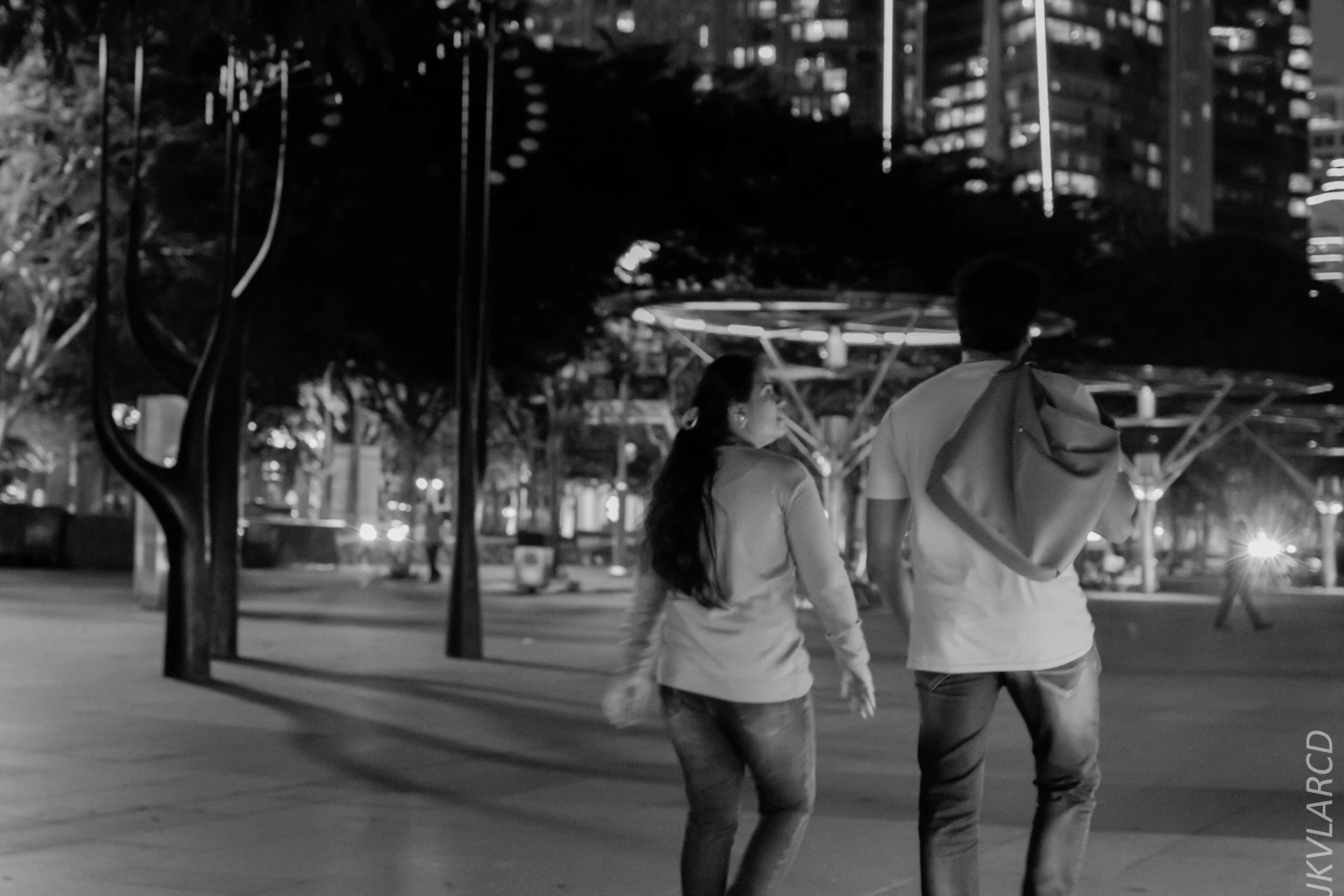 EOS 7D Mark II_2018_12_08_0370.jpg