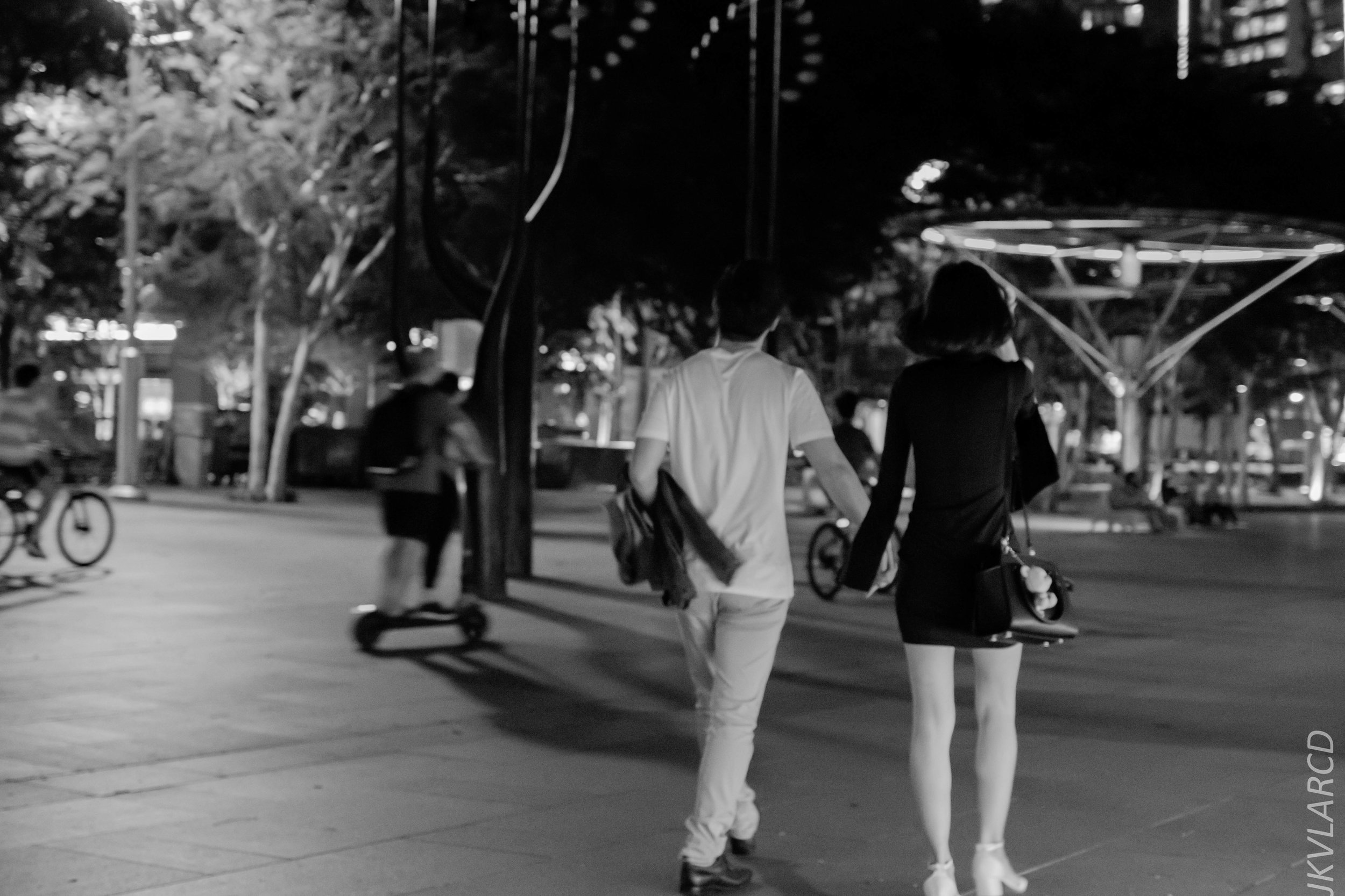 EOS 7D Mark II_2018_12_08_0371.jpg