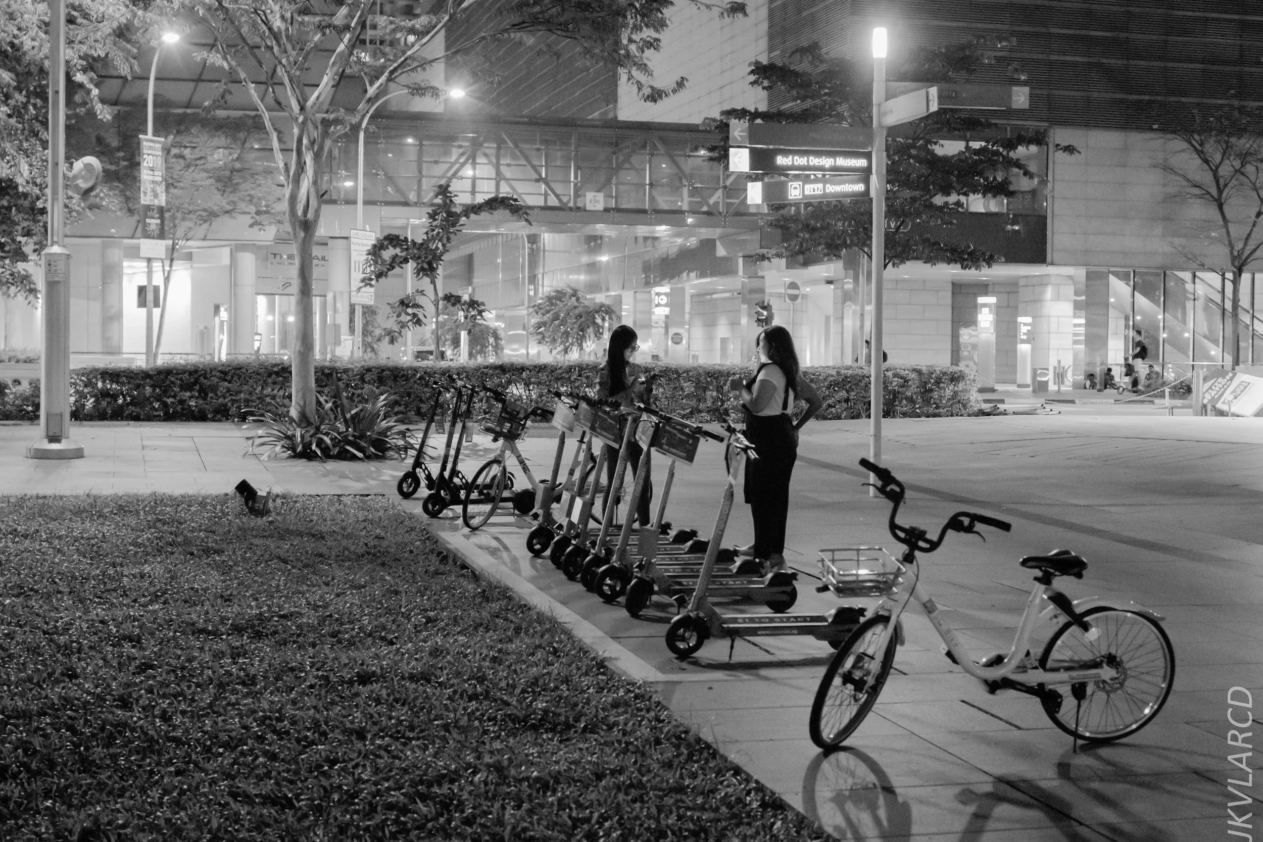 EOS 7D Mark II_2018_12_08_0382.jpg