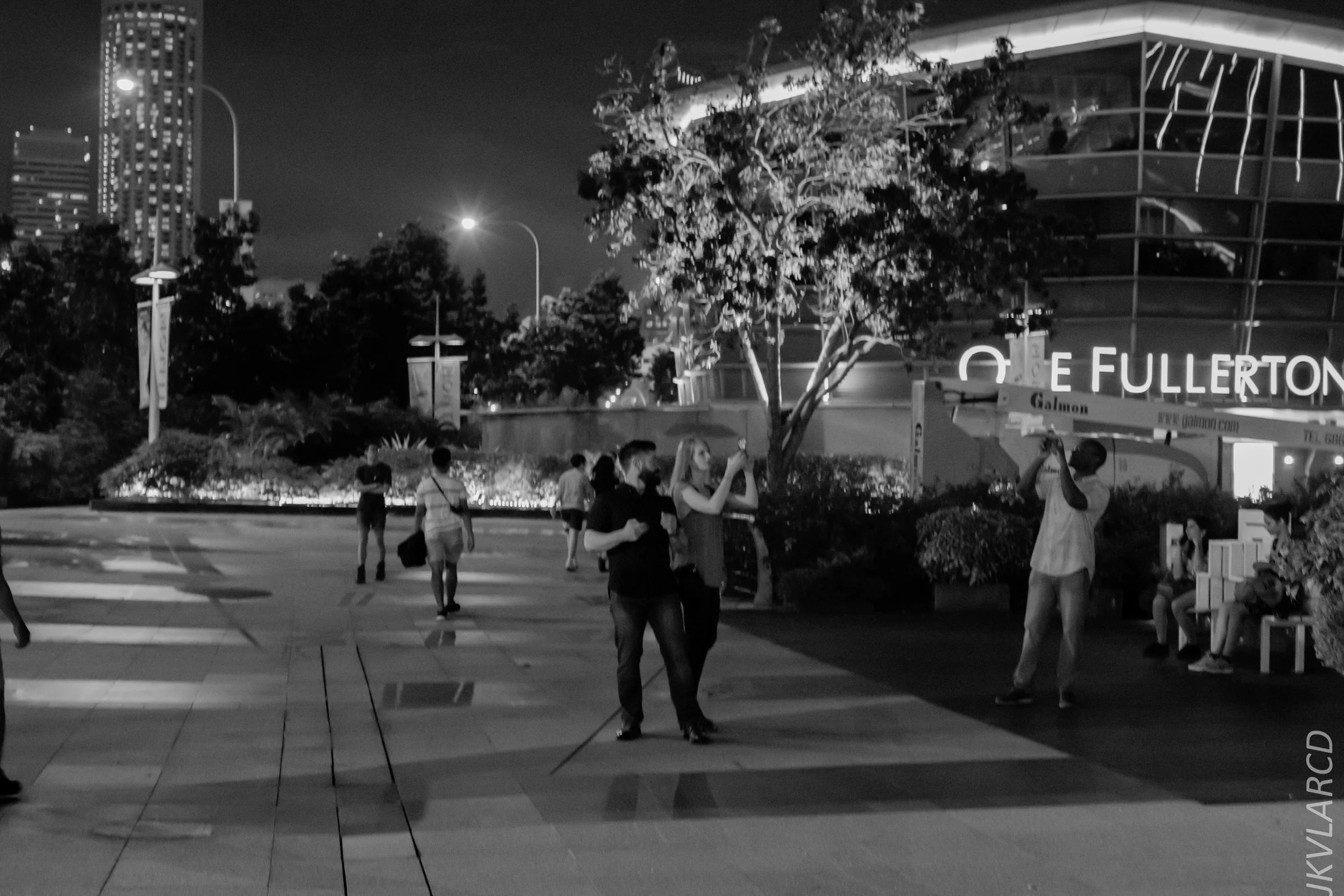 EOS 7D Mark II_2018_12_08_0391.jpg