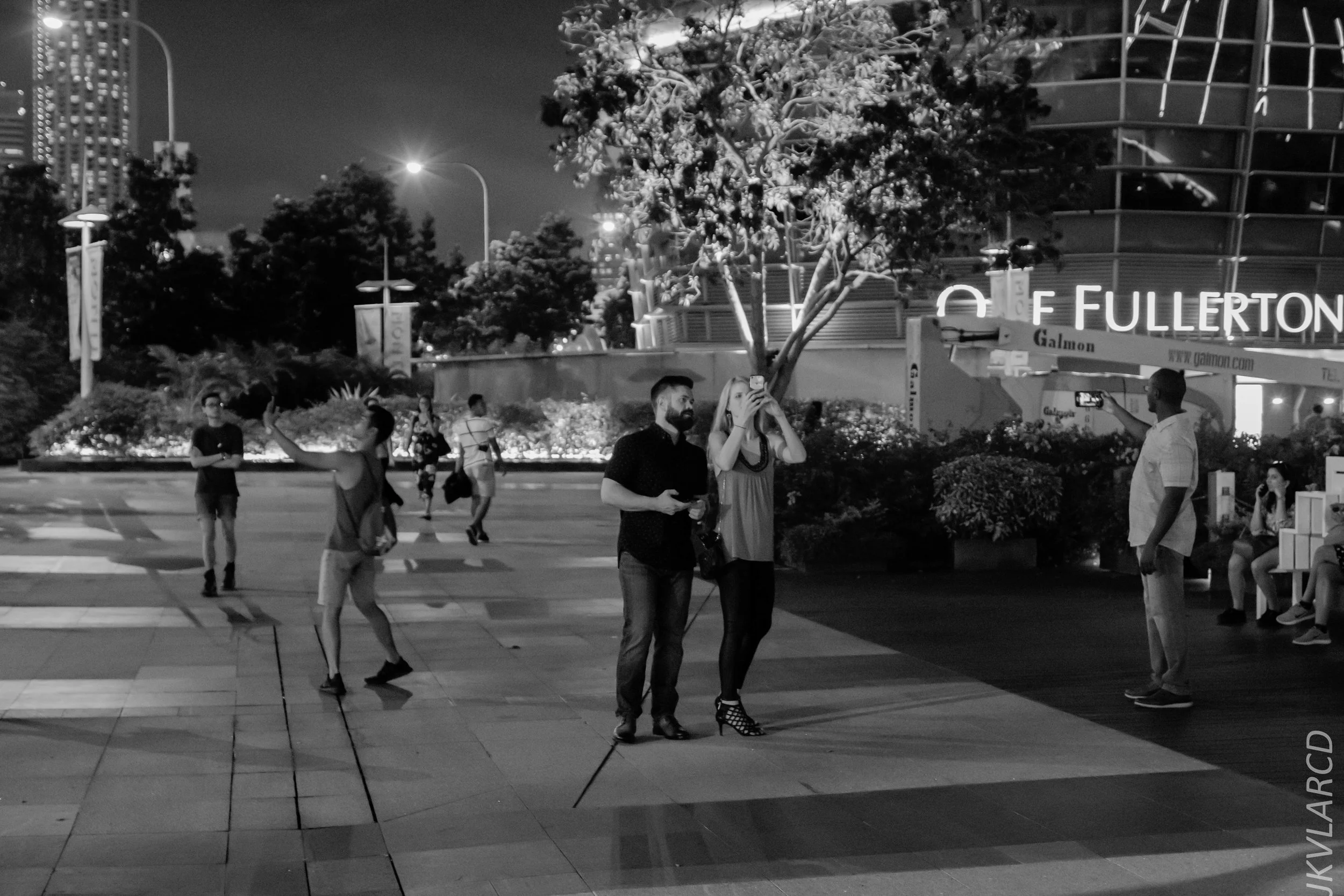 EOS 7D Mark II_2018_12_08_0392.jpg