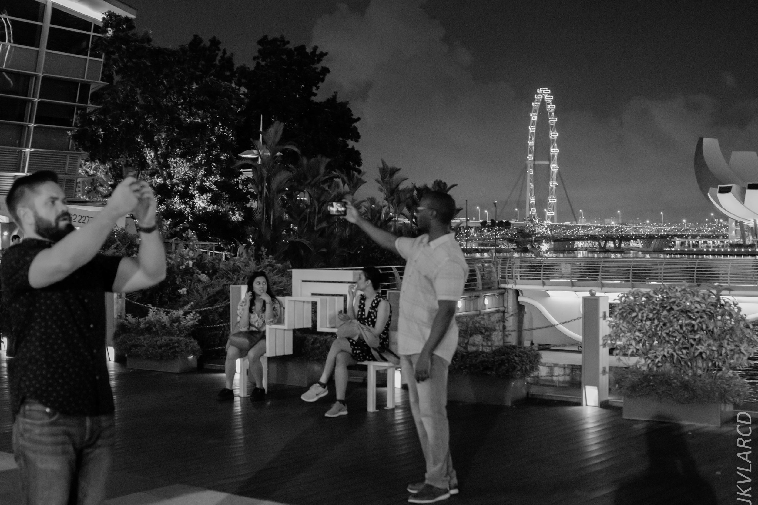 EOS 7D Mark II_2018_12_08_0393.jpg