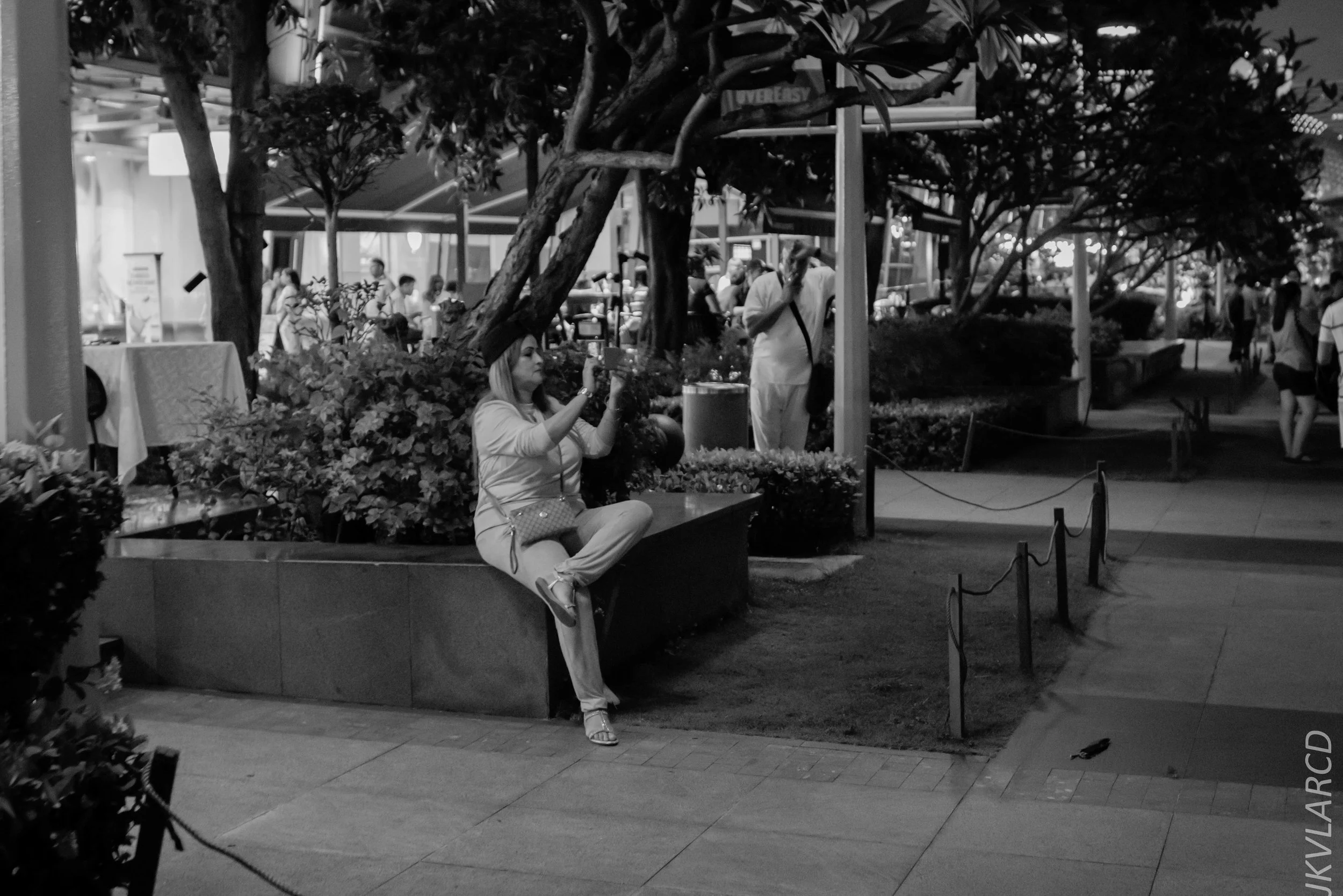 EOS 7D Mark II_2018_12_08_0398.jpg