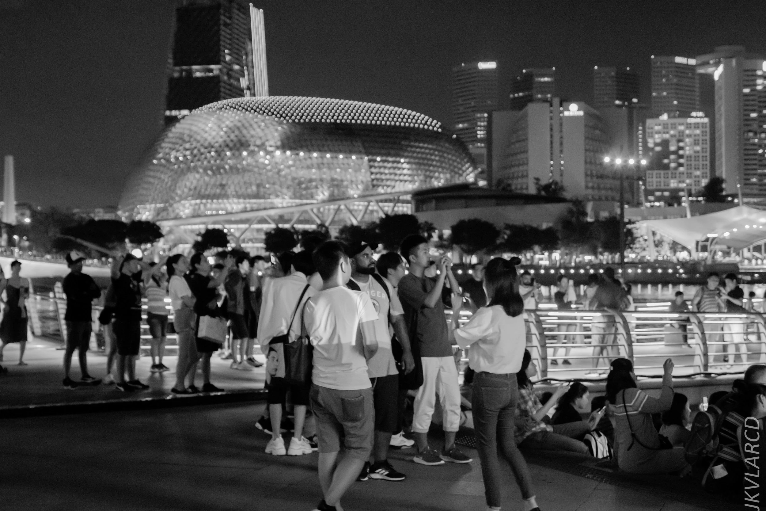 EOS 7D Mark II_2018_12_08_0410.jpg