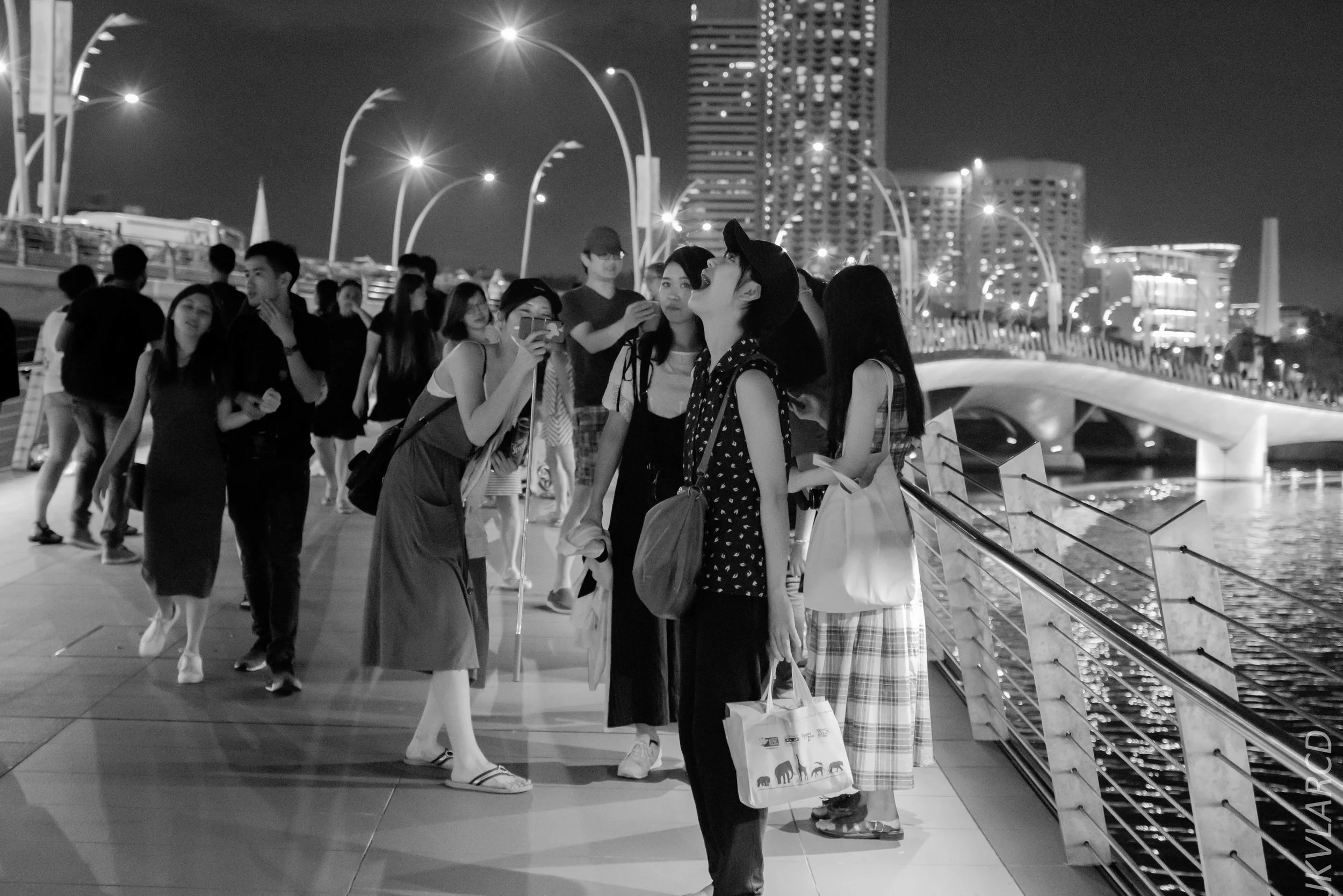 EOS 7D Mark II_2018_12_08_0415.jpg