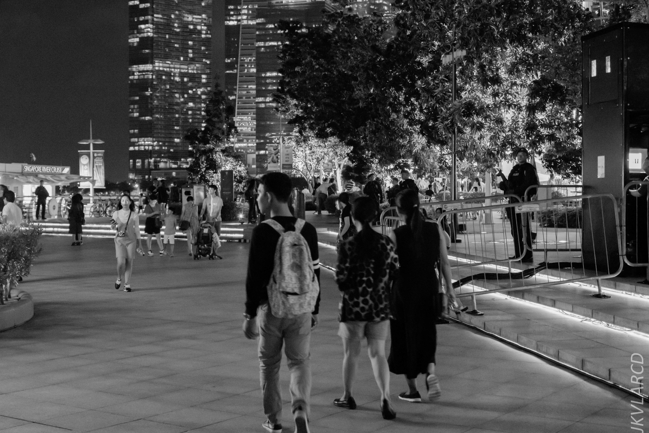 EOS 7D Mark II_2018_12_08_0412.jpg