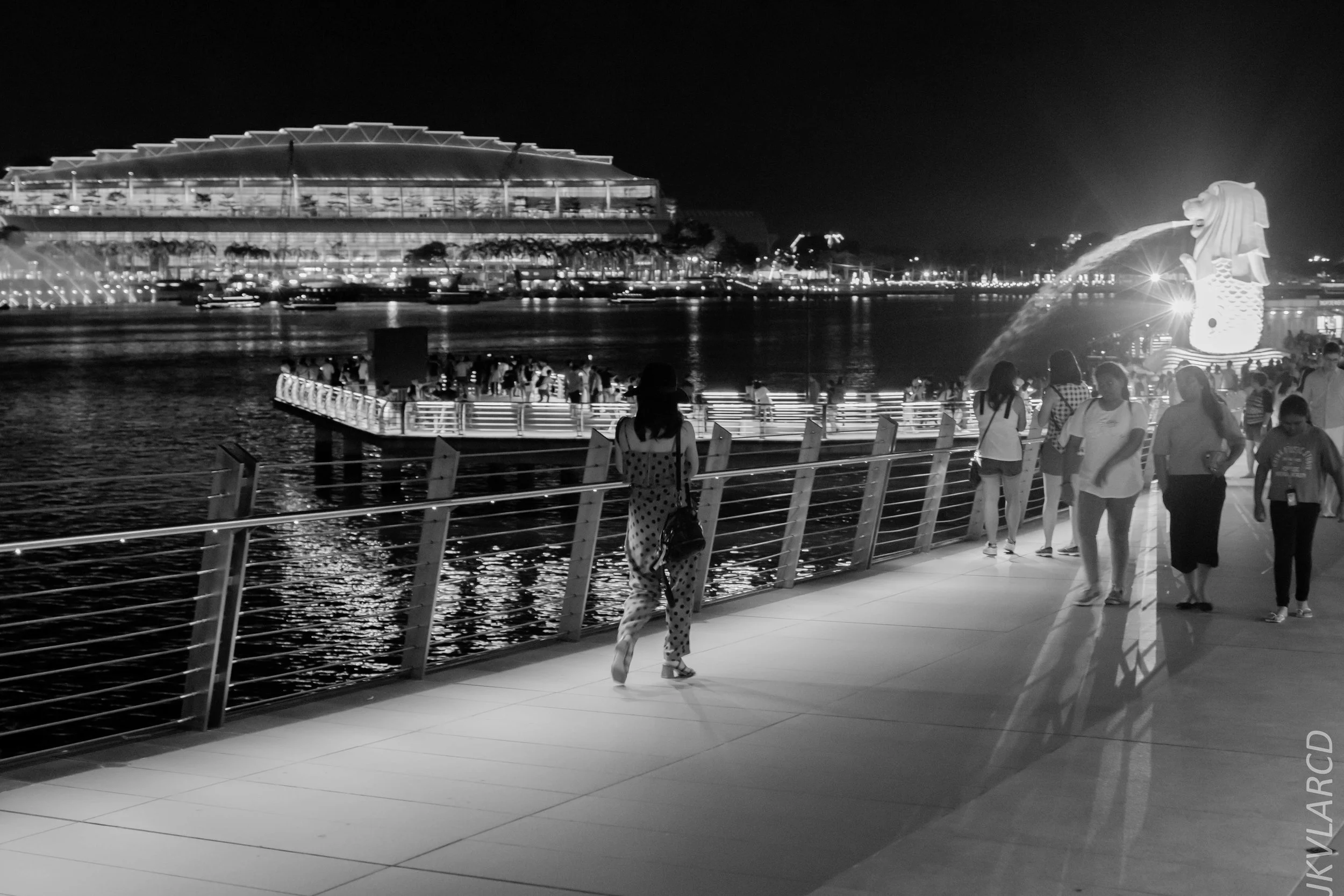 EOS 7D Mark II_2018_12_08_0417.jpg