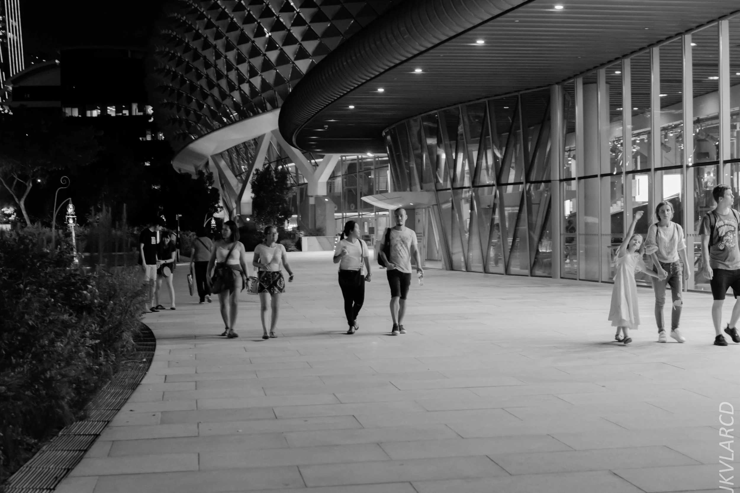 EOS 7D Mark II_2018_12_08_0426.jpg