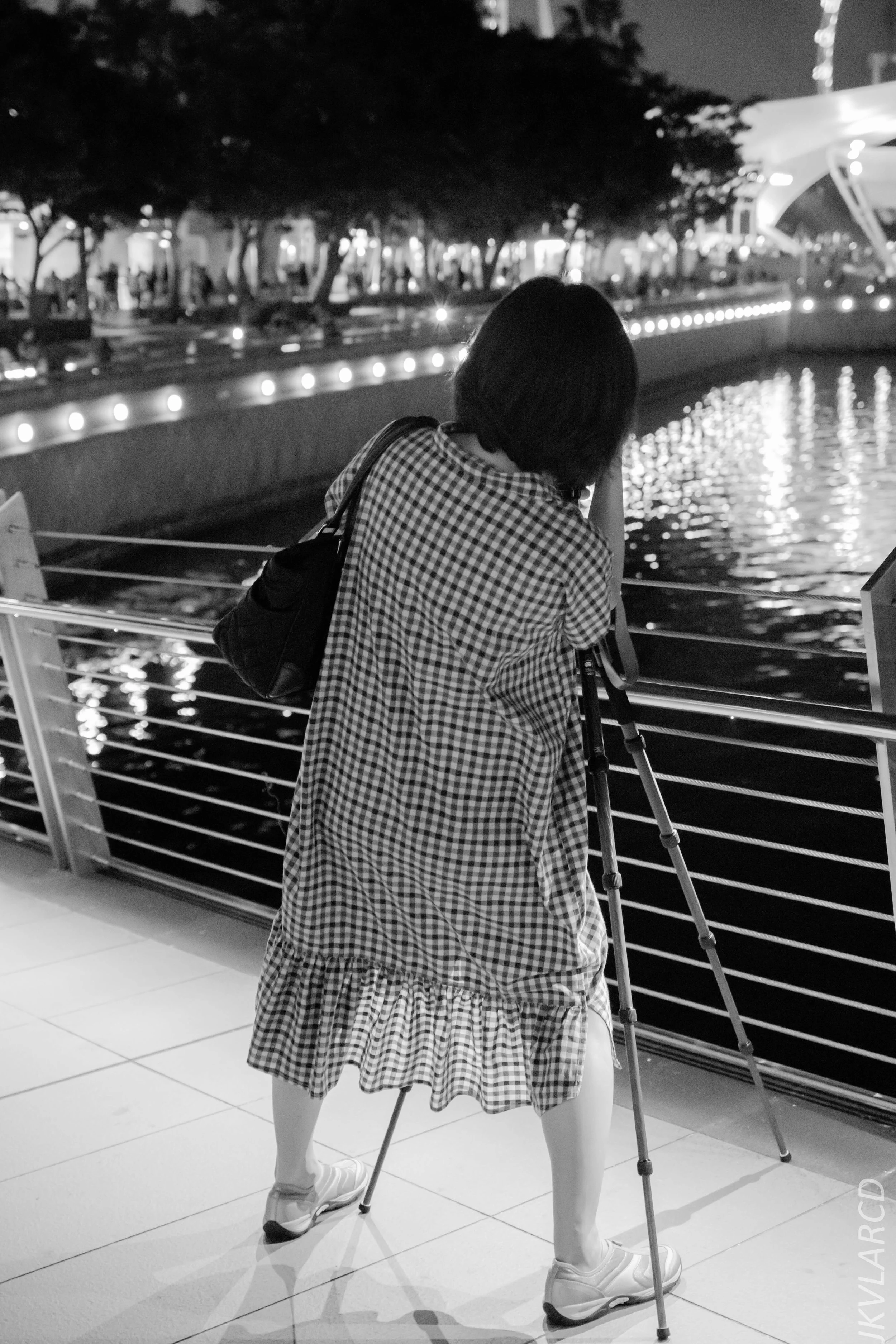 EOS 7D Mark II_2018_12_08_0424.jpg