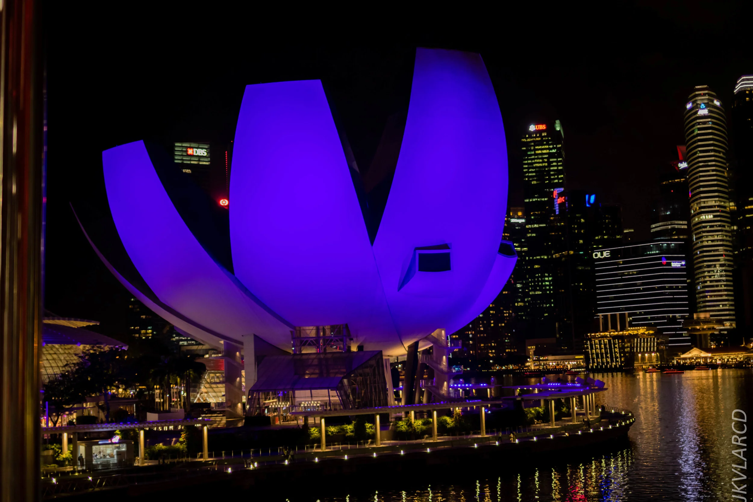 EOS 7D Mark II_2018_12_08_0295.jpg