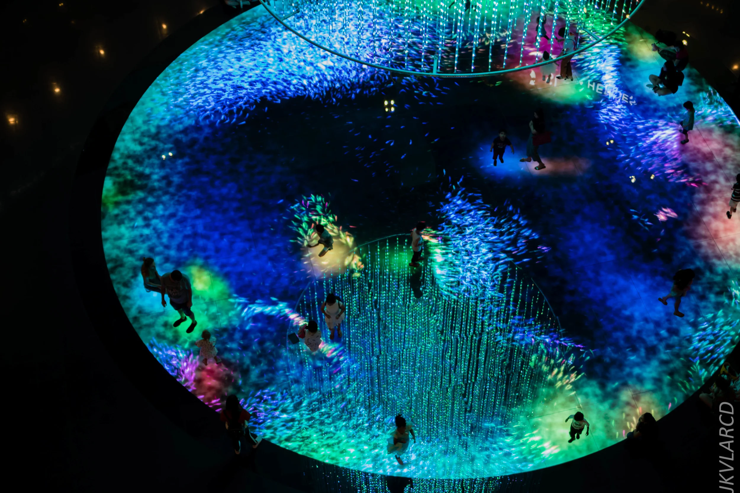 EOS 7D Mark II_2018_12_08_0305.jpg