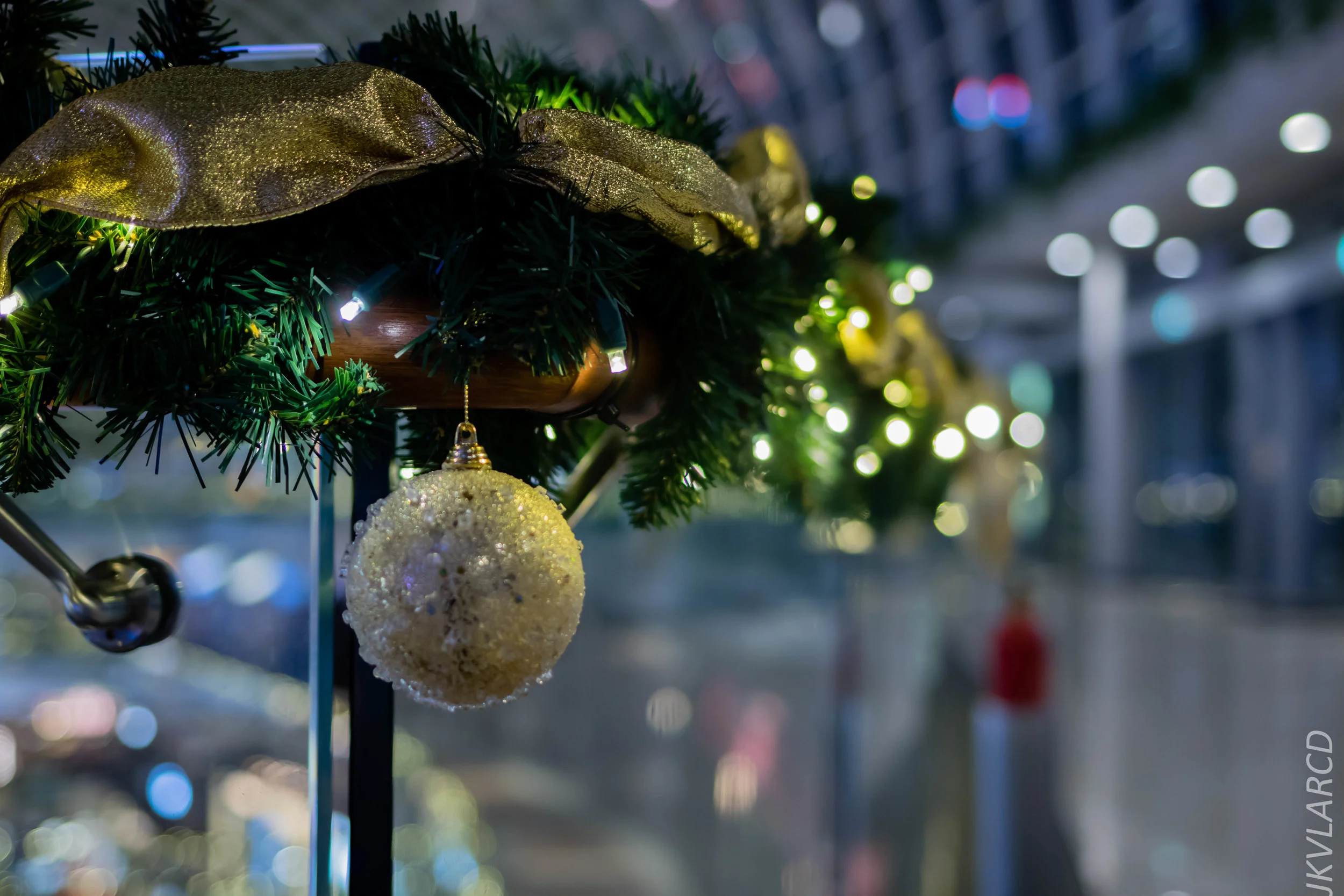 EOS 7D Mark II_2018_12_08_0311.jpg