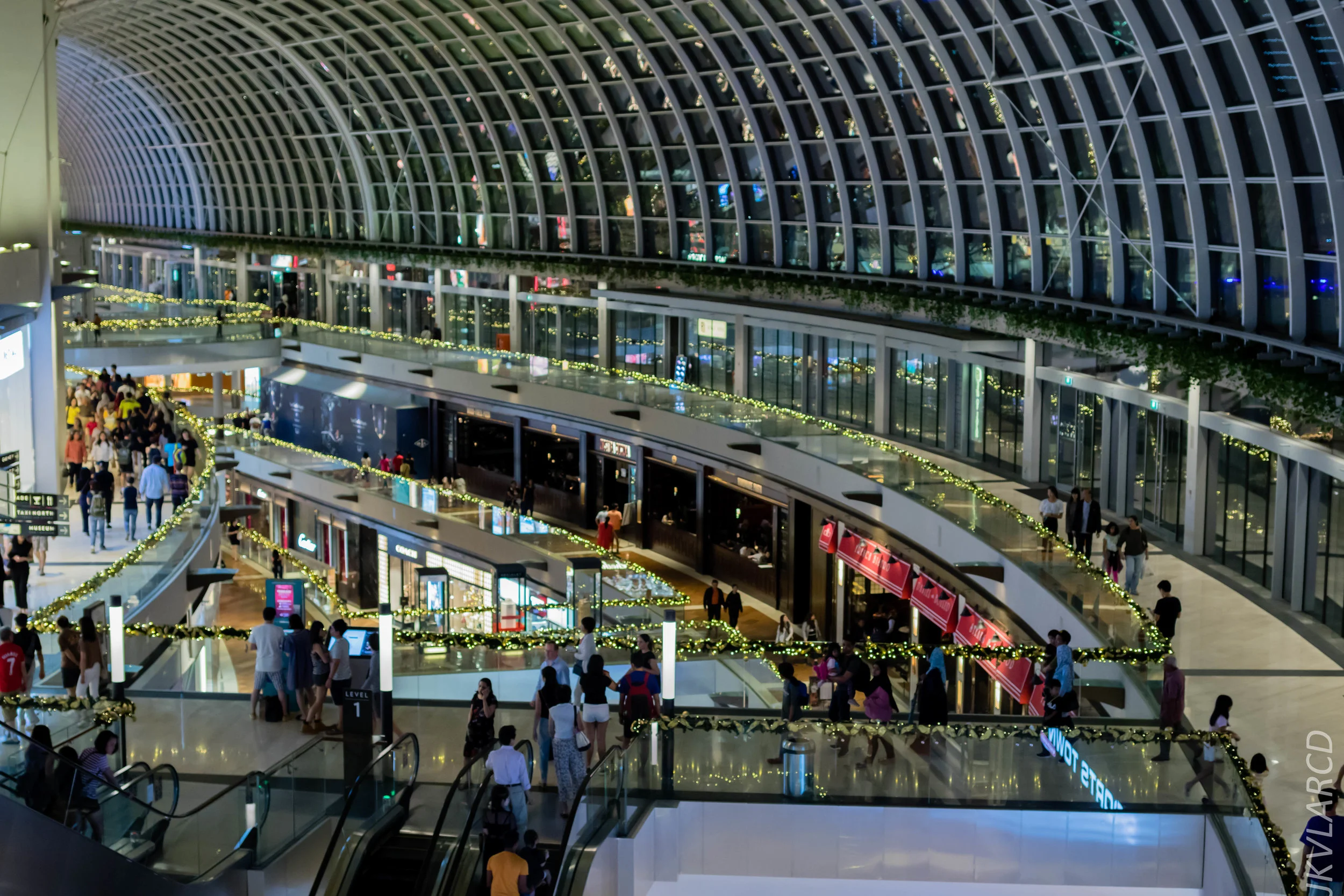 EOS 7D Mark II_2018_12_08_0308.jpg