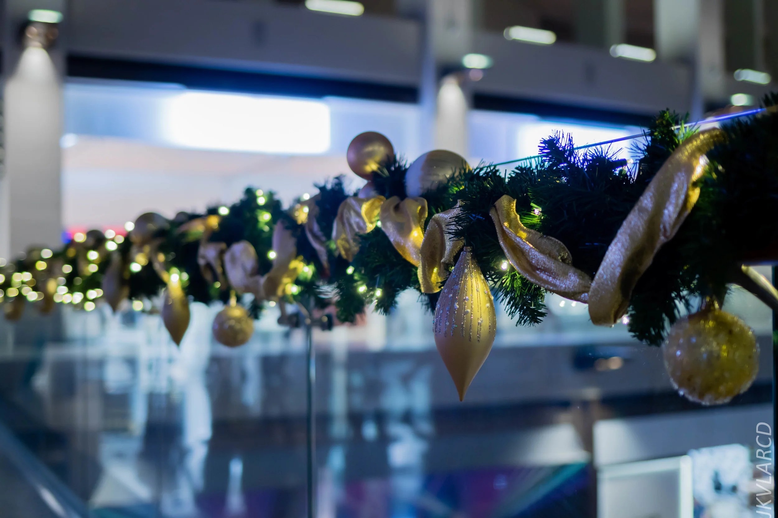 EOS 7D Mark II_2018_12_08_0314.jpg