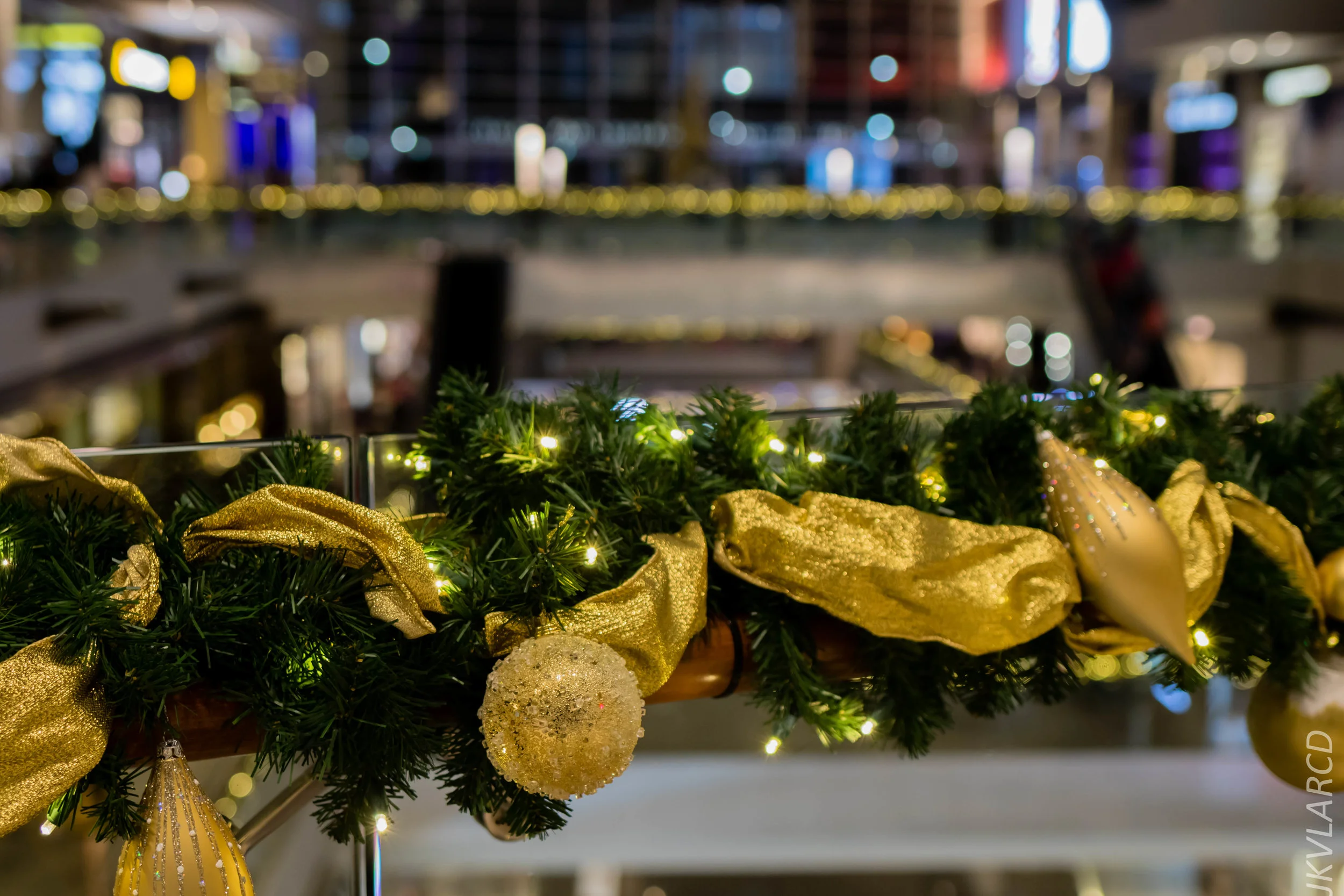 EOS 7D Mark II_2018_12_08_0323.jpg