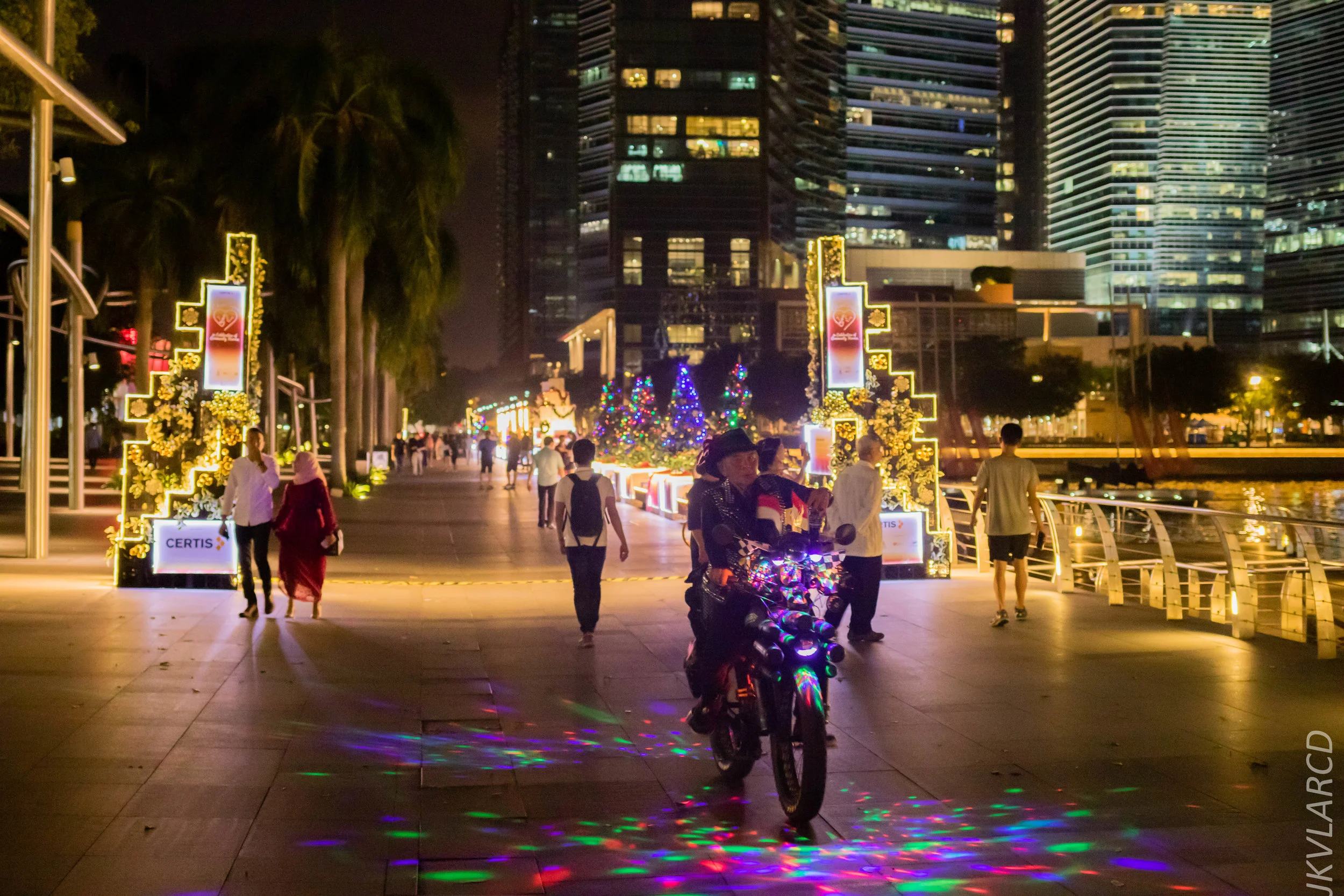 EOS 7D Mark II_2018_12_08_0337.jpg