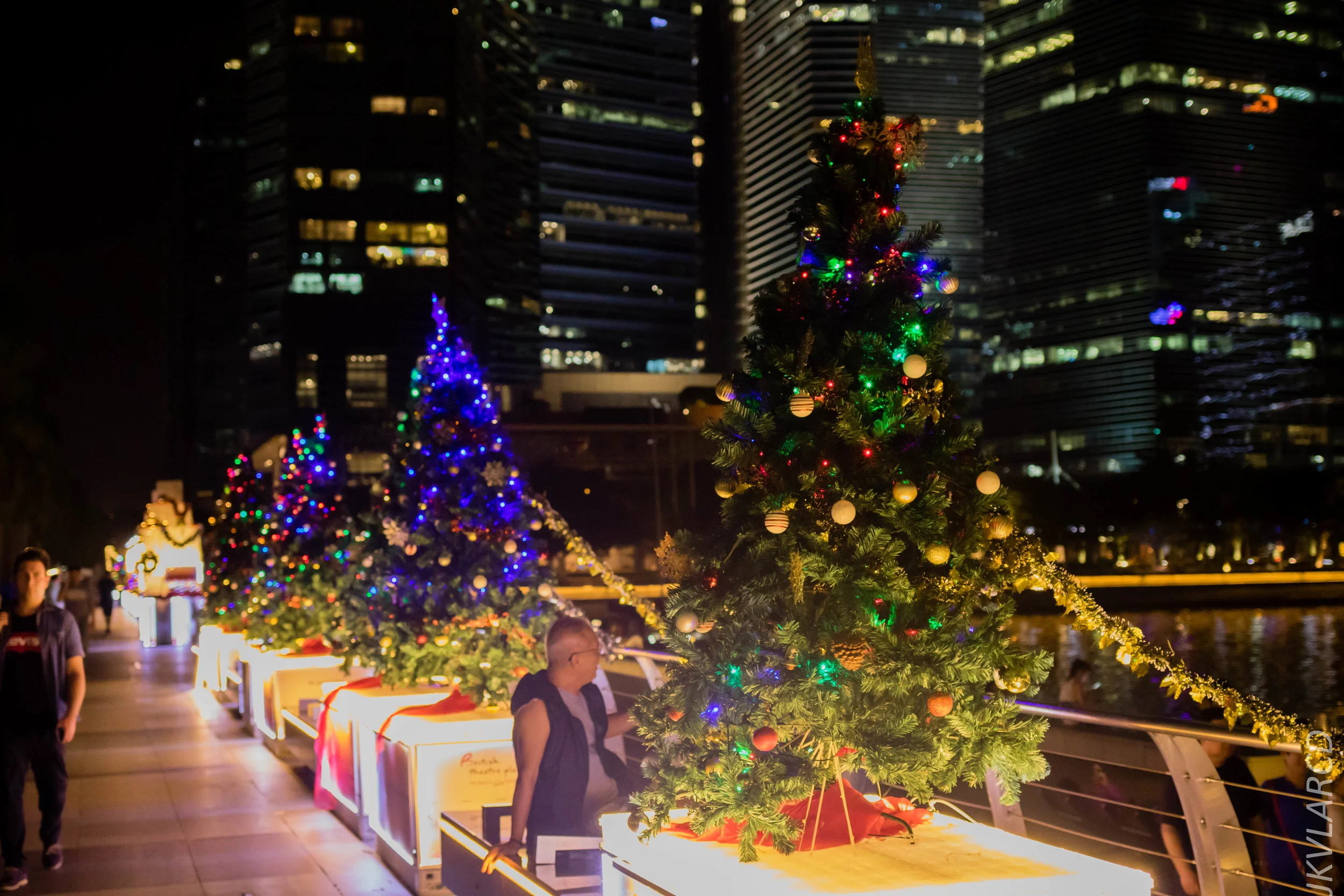 EOS 7D Mark II_2018_12_08_0341.jpg