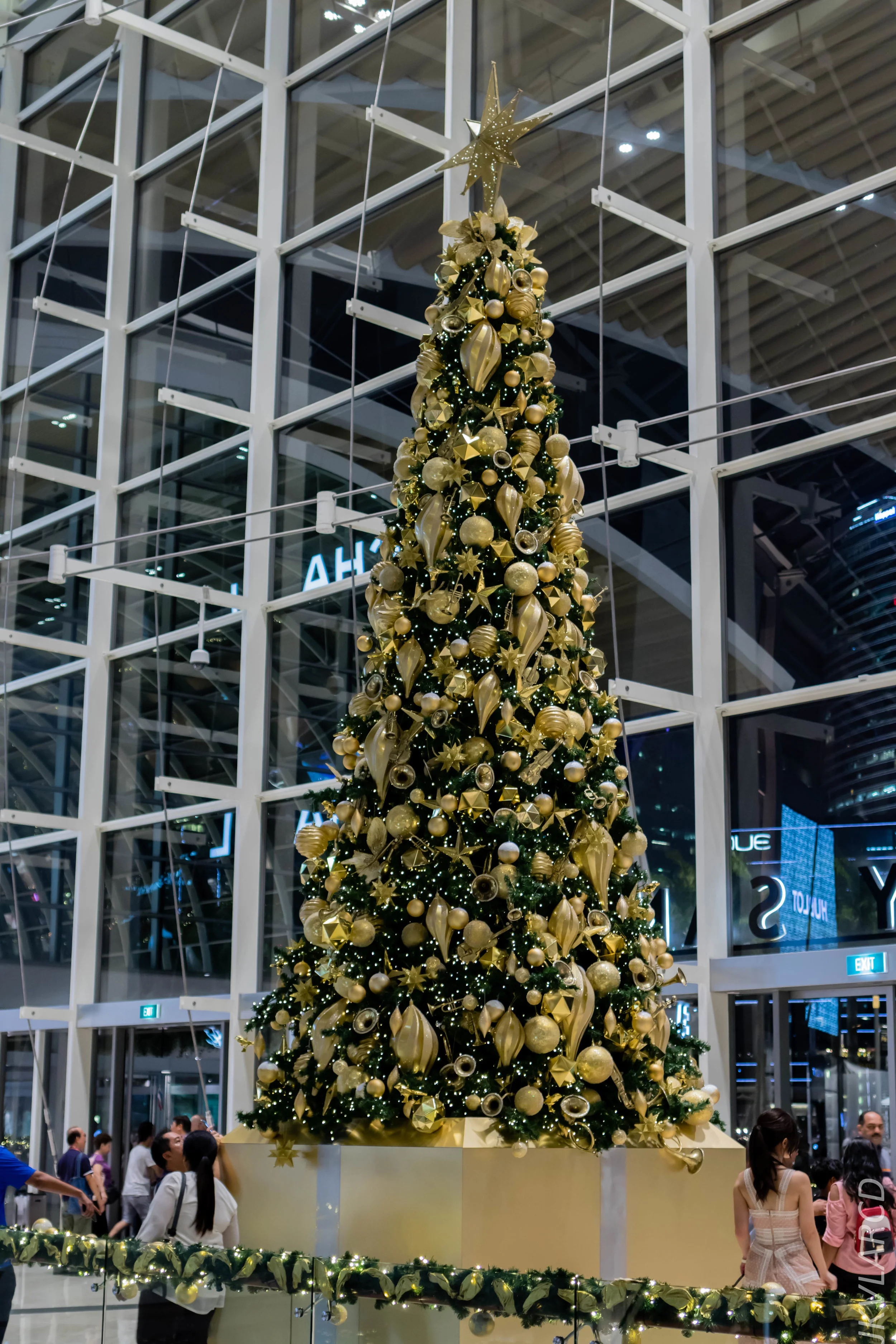 EOS 7D Mark II_2018_12_08_0321.jpg