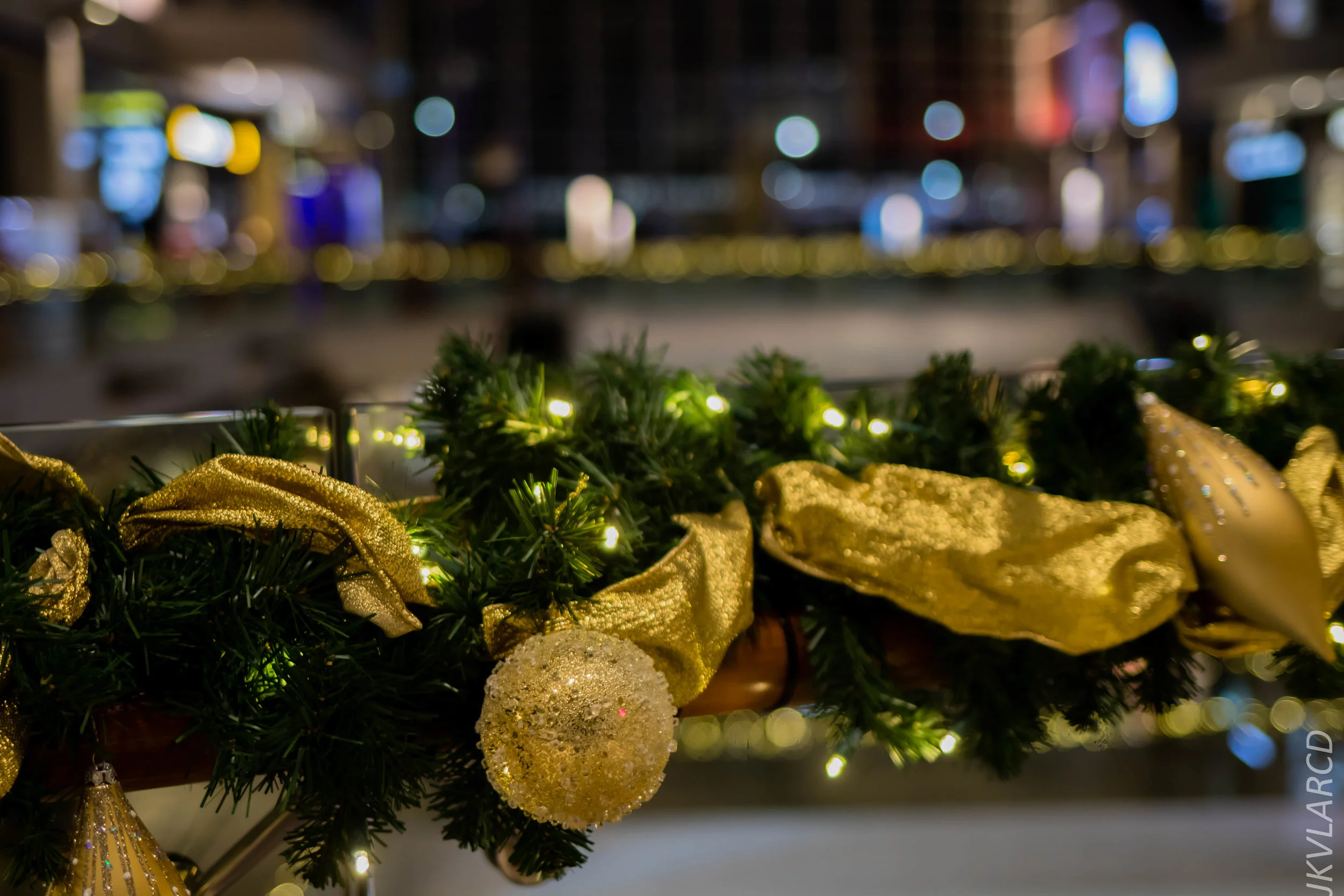 EOS 7D Mark II_2018_12_08_0324.jpg