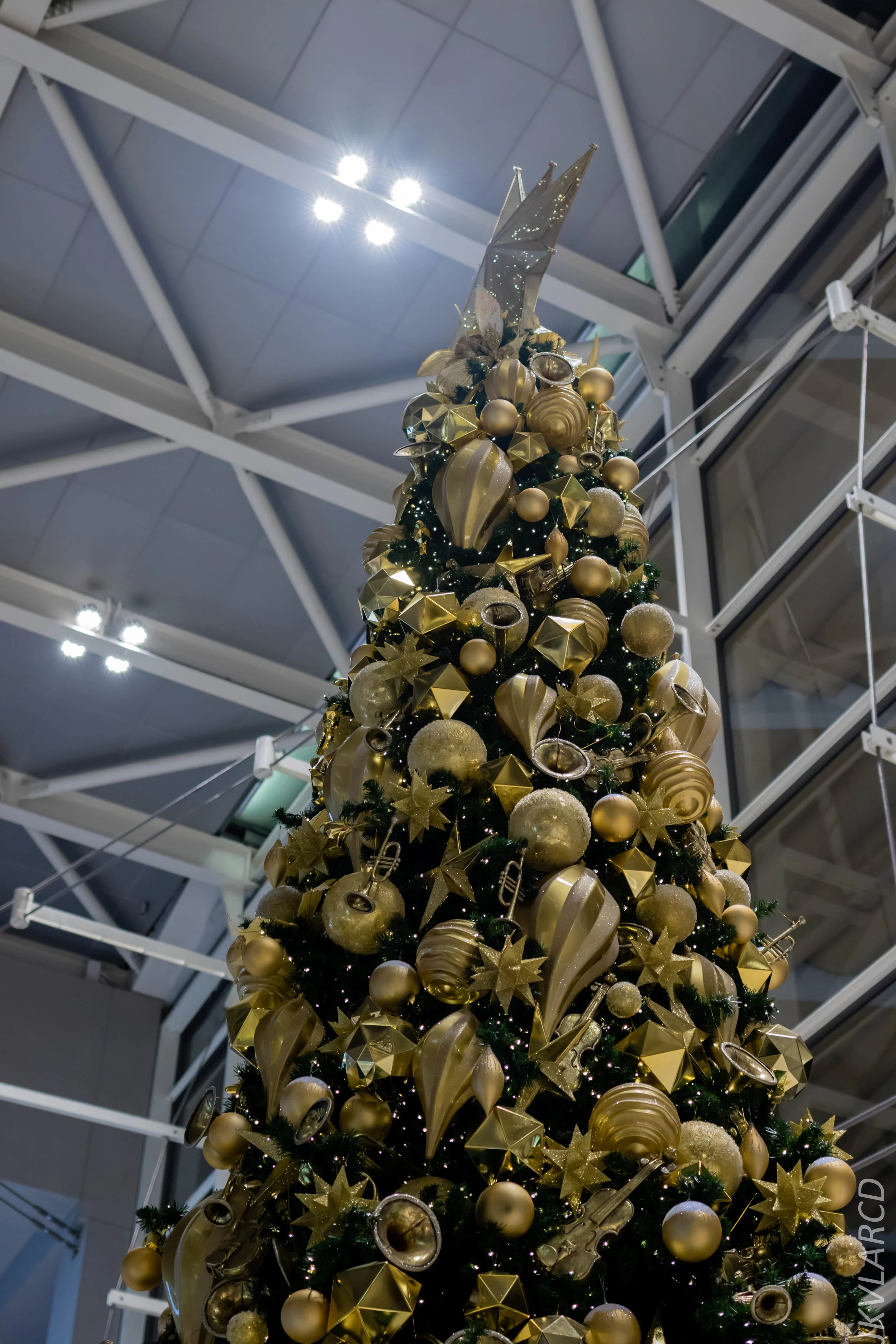 EOS 7D Mark II_2018_12_08_0329.jpg