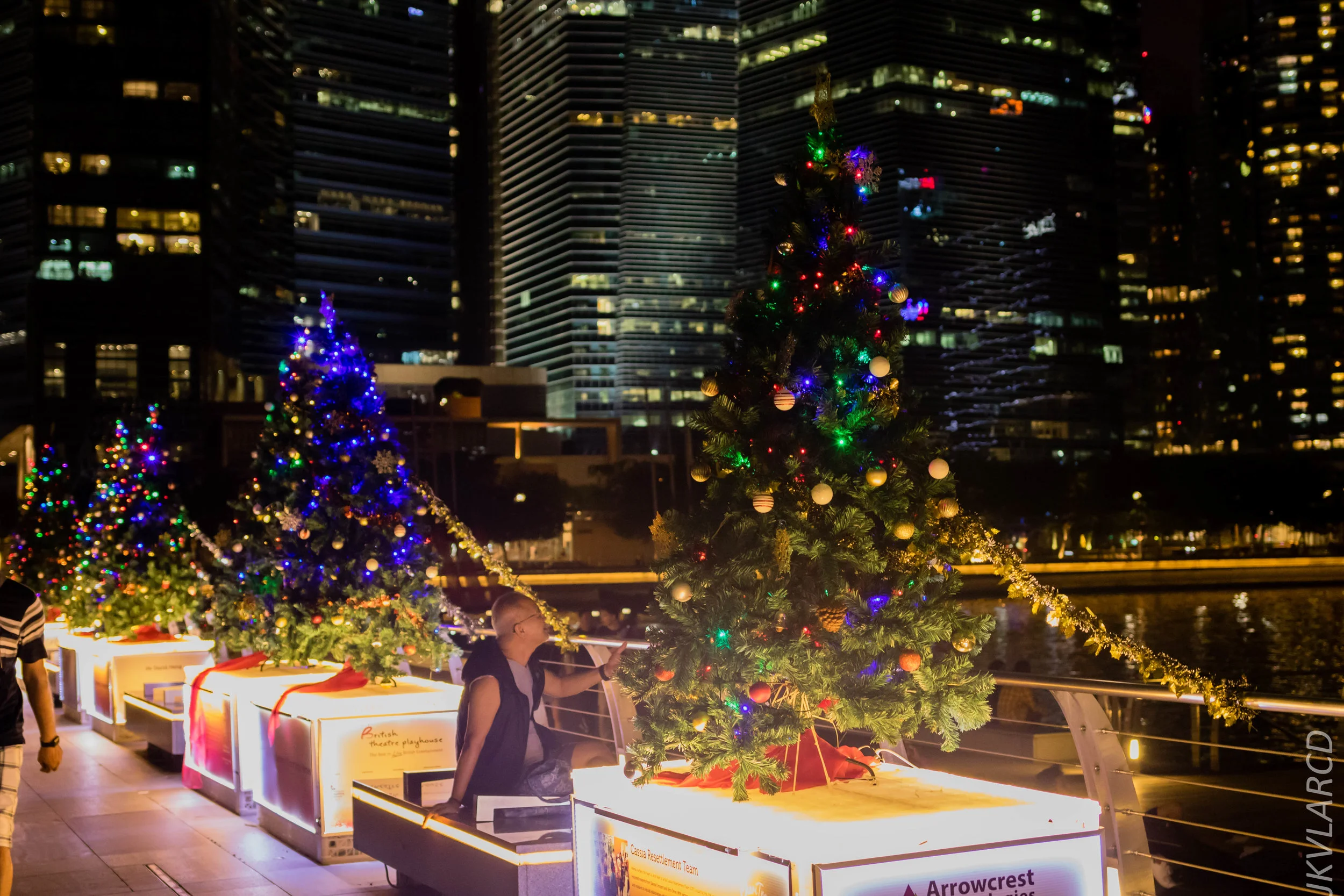 EOS 7D Mark II_2018_12_08_0339.jpg