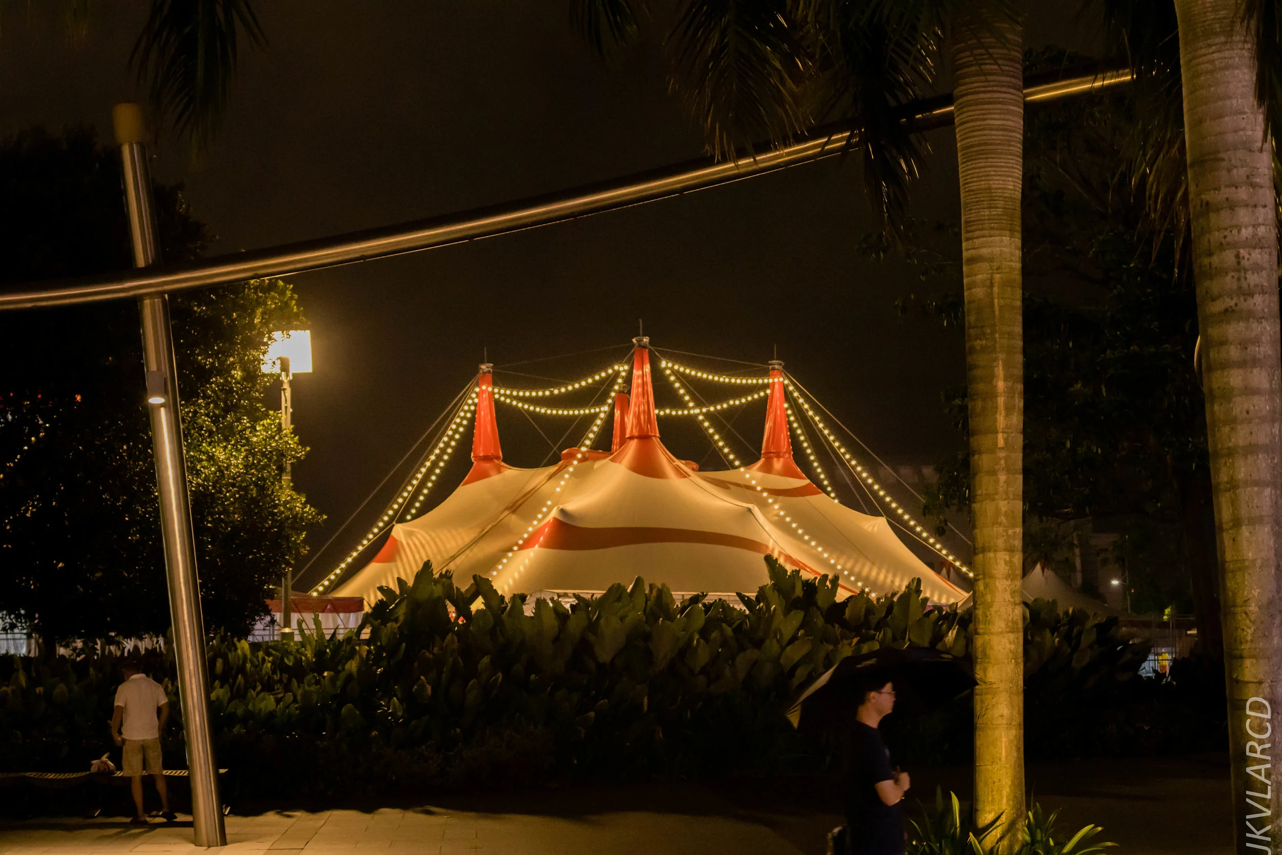 EOS 7D Mark II_2018_12_08_0354.jpg