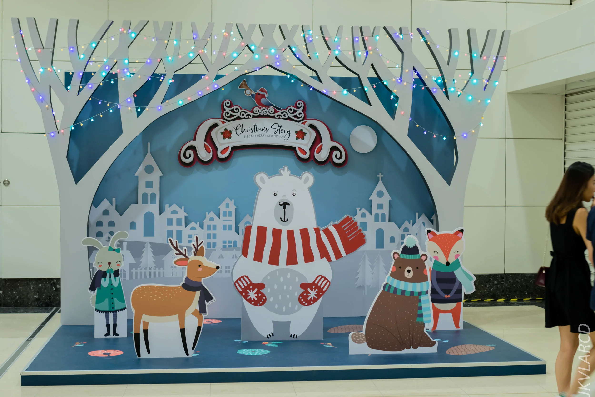 EOS 7D Mark II_2018_12_08_0434.jpg