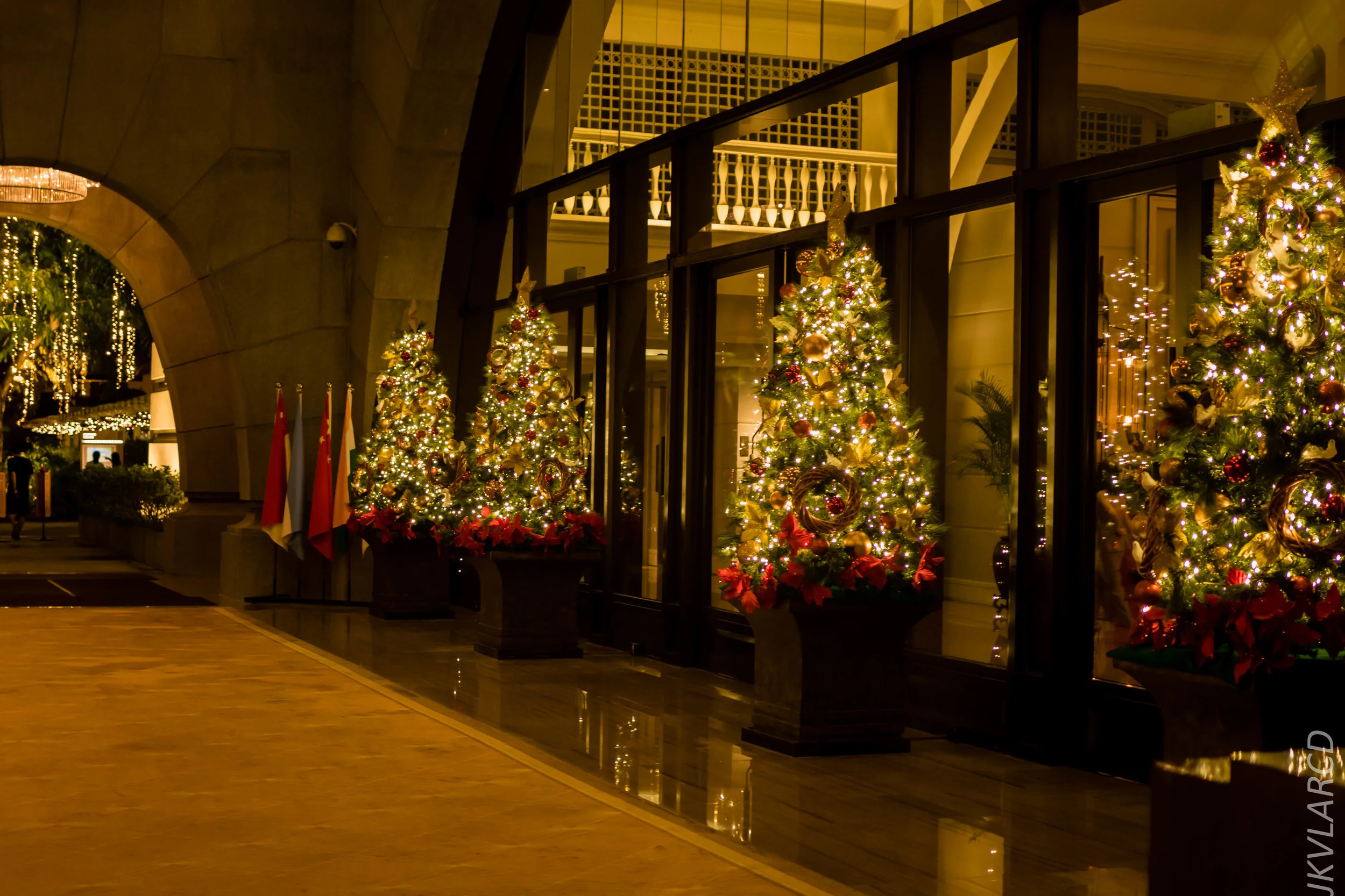 EOS 7D Mark II_2018_12_08_0384.jpg