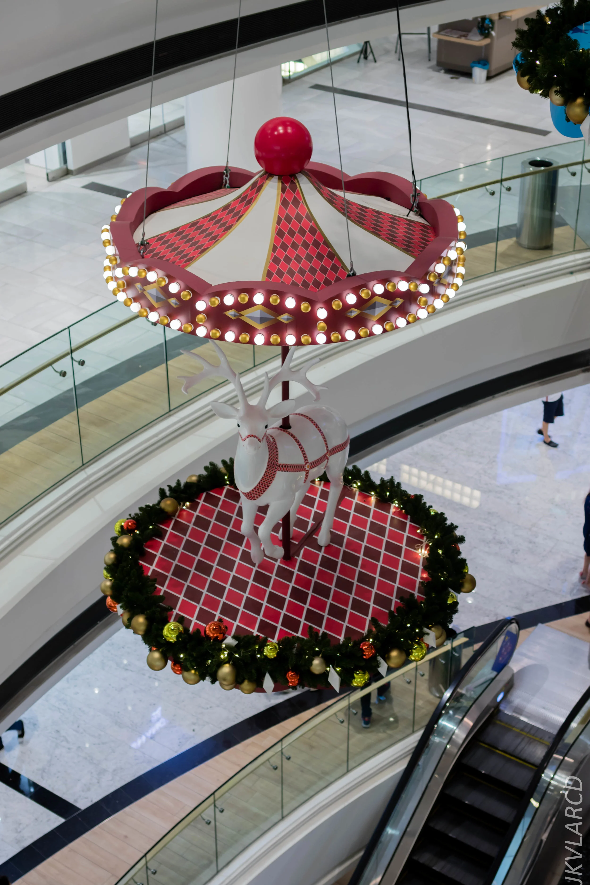 EOS 7D Mark II_2018_12_08_0439.jpg