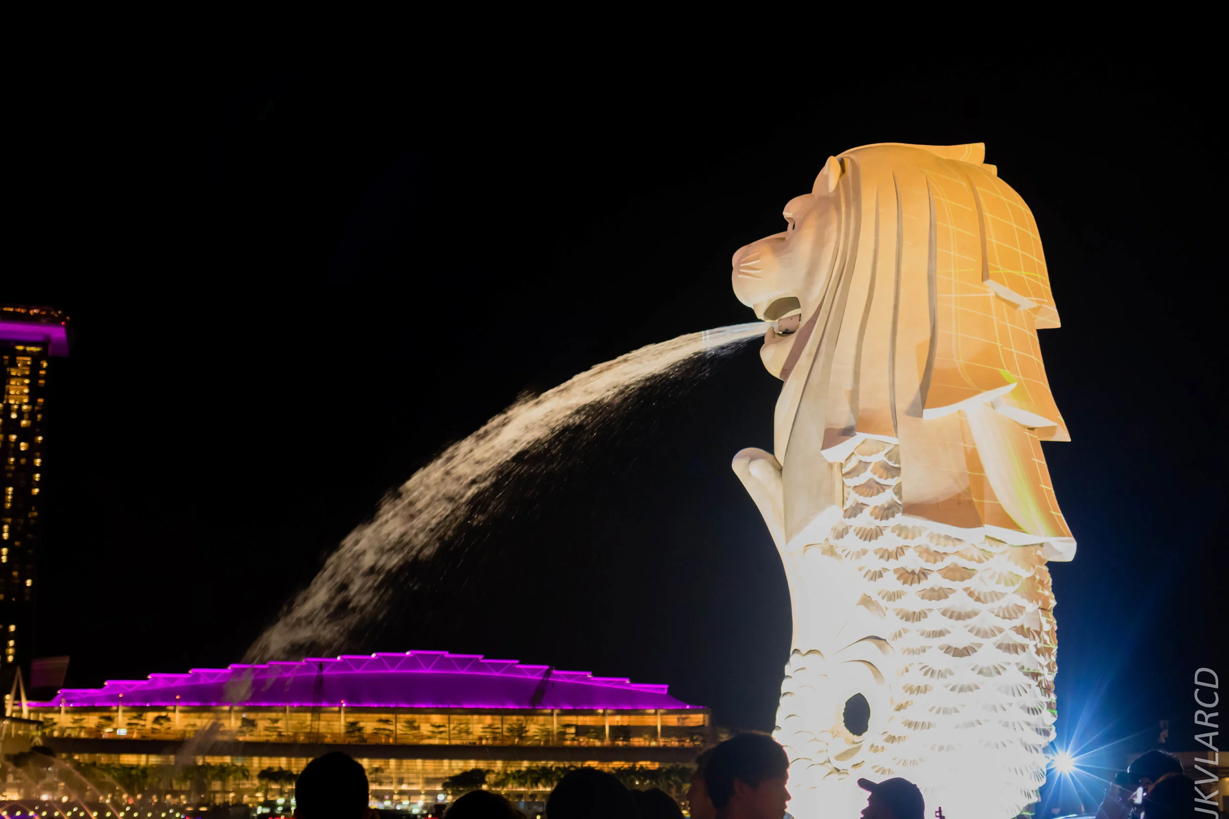 EOS 7D Mark II_2018_12_08_0414.jpg