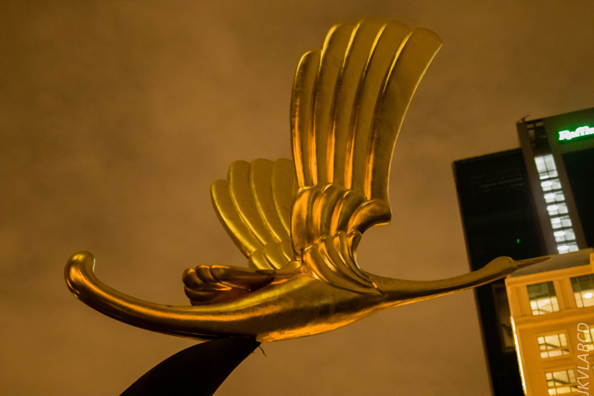 EOS 7D Mark II_2018_12_15_0614.jpg