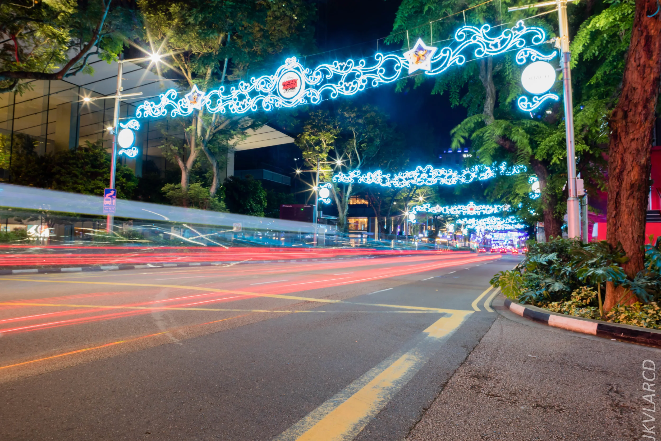 EOS 7D Mark II_2018_12_15_0495.jpg