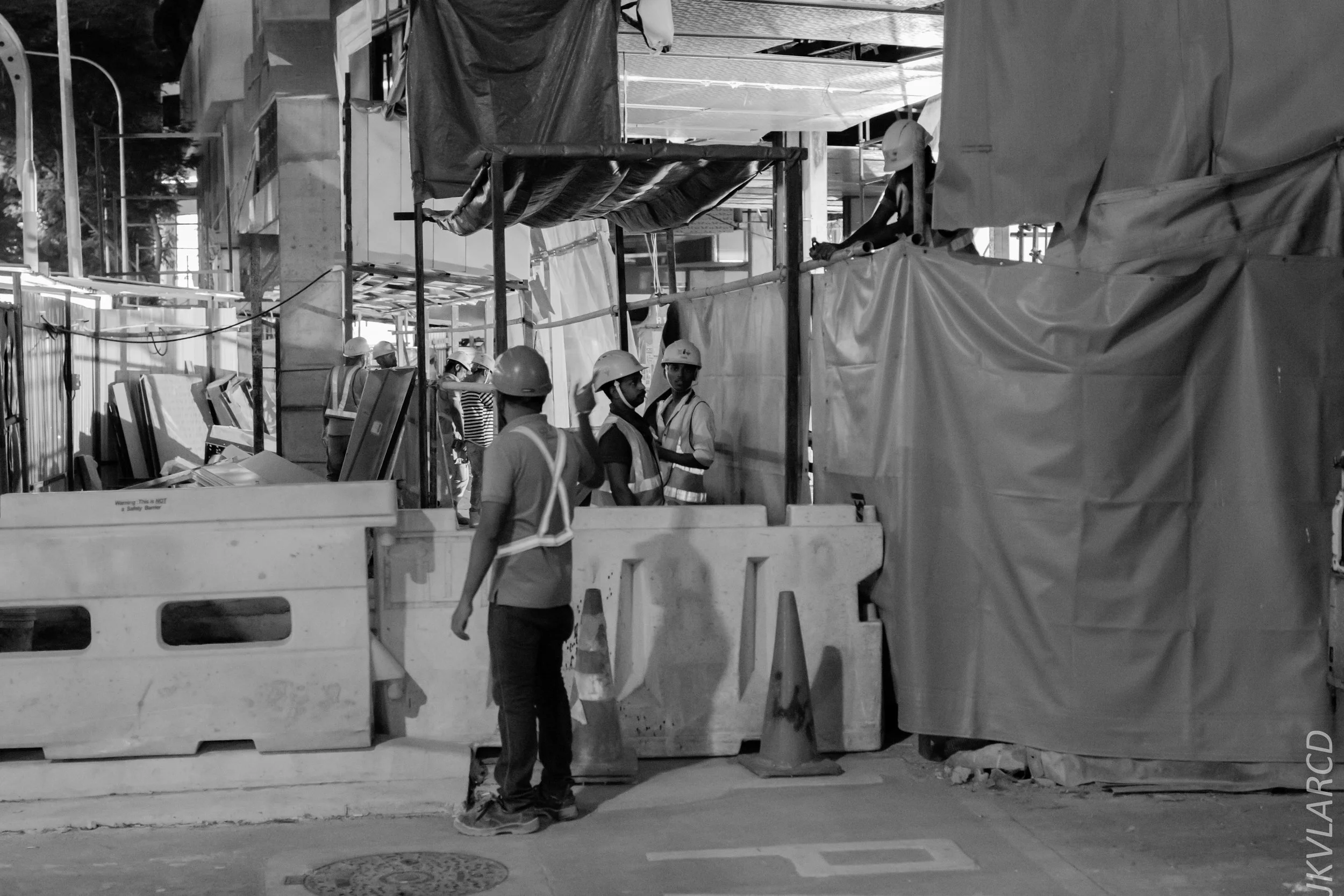 EOS 7D Mark II_2018_12_27_1218.jpg