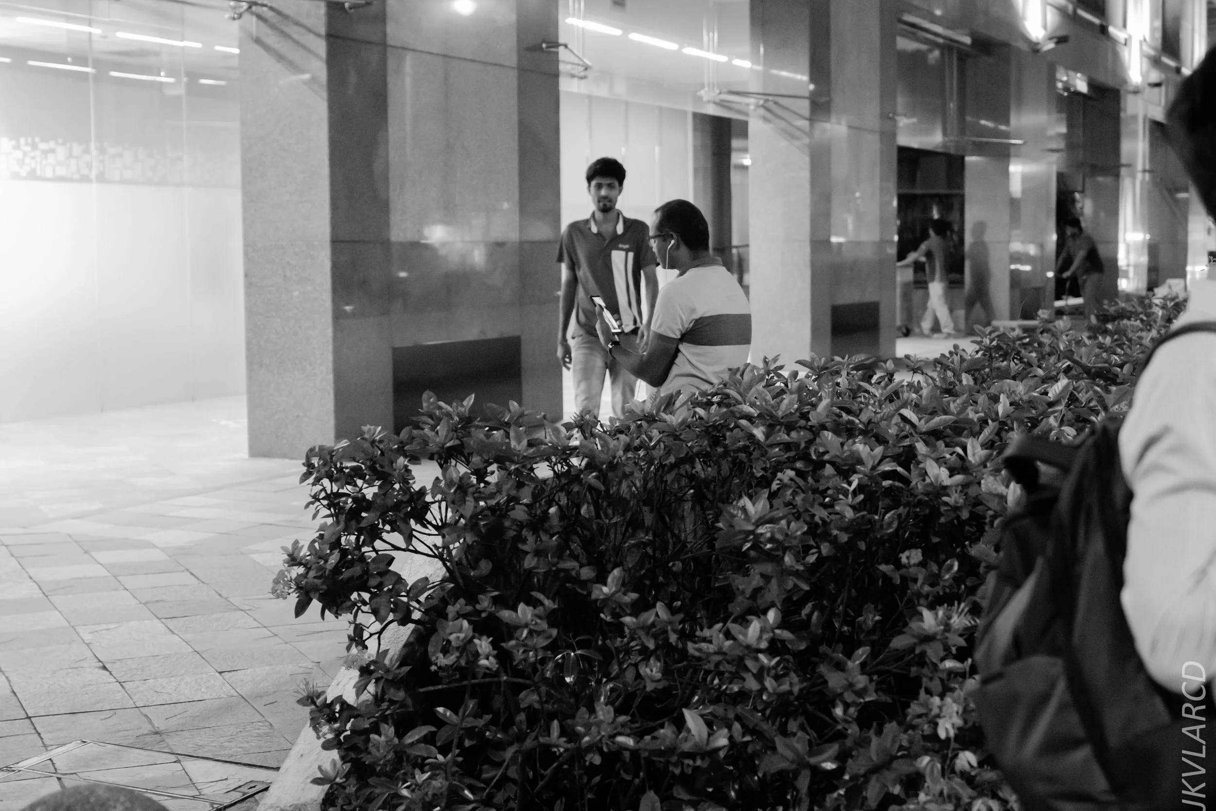 EOS 7D Mark II_2018_12_27_1223.jpg