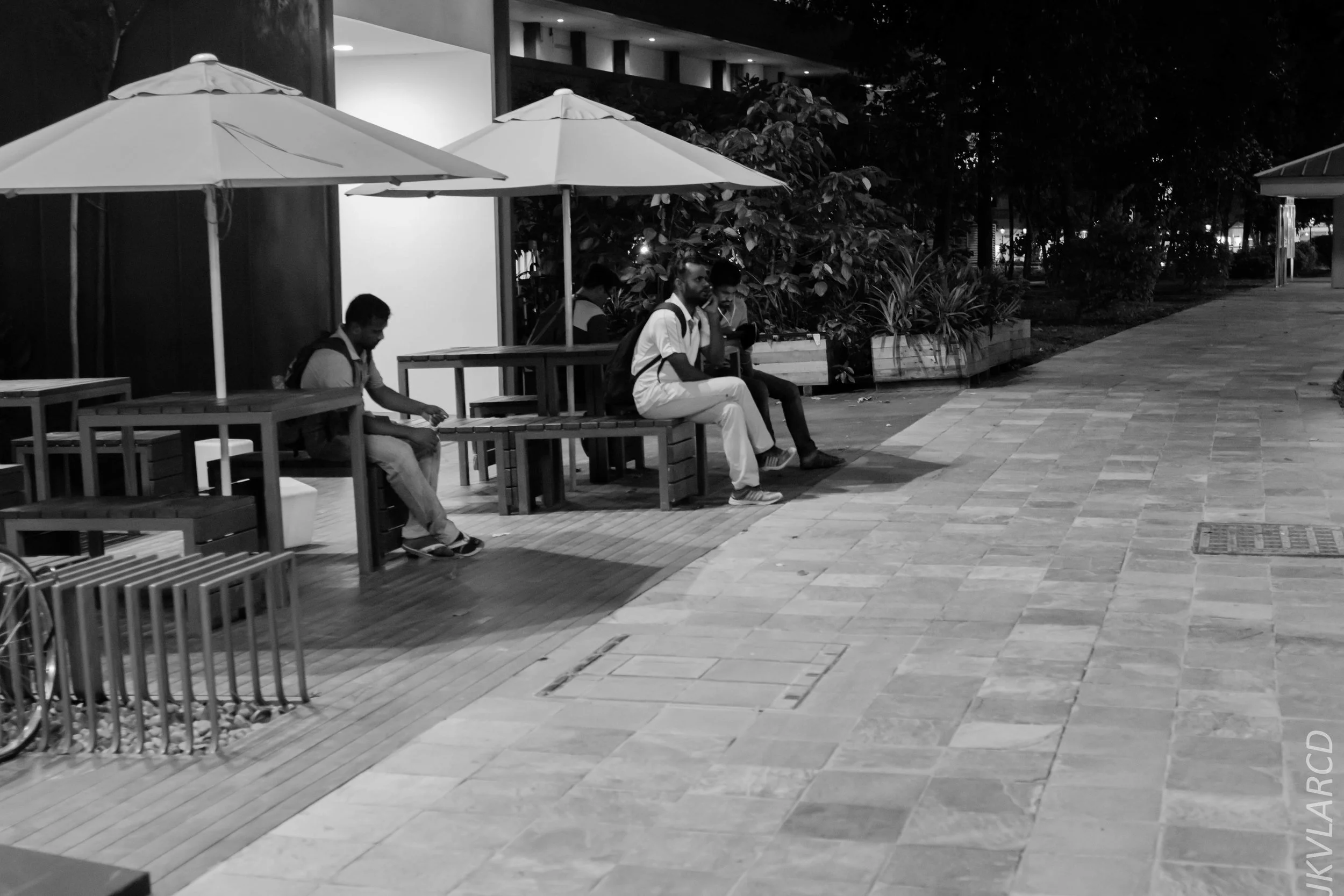 EOS 7D Mark II_2018_12_27_1226.jpg