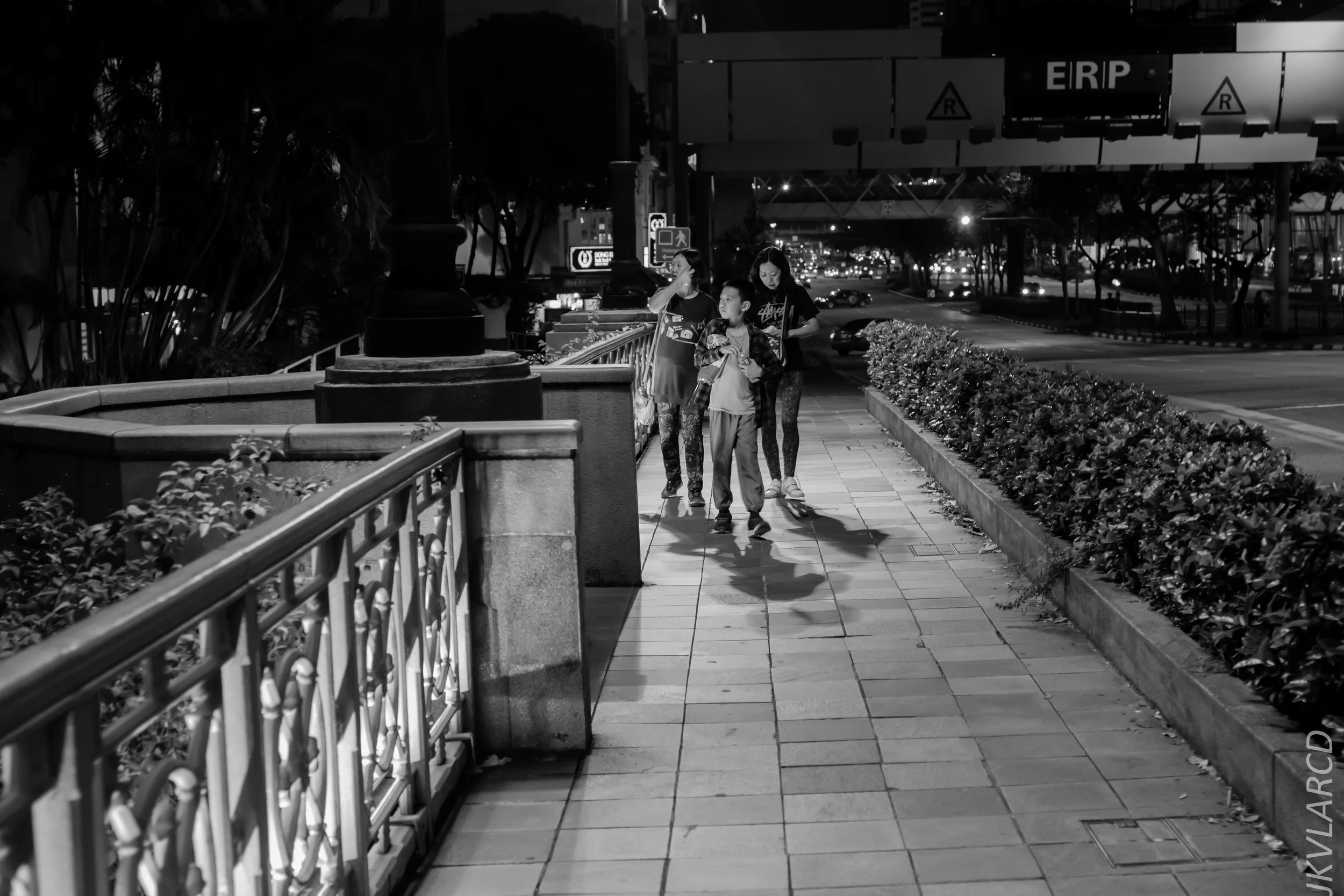 EOS 7D Mark II_2018_12_27_1232.jpg