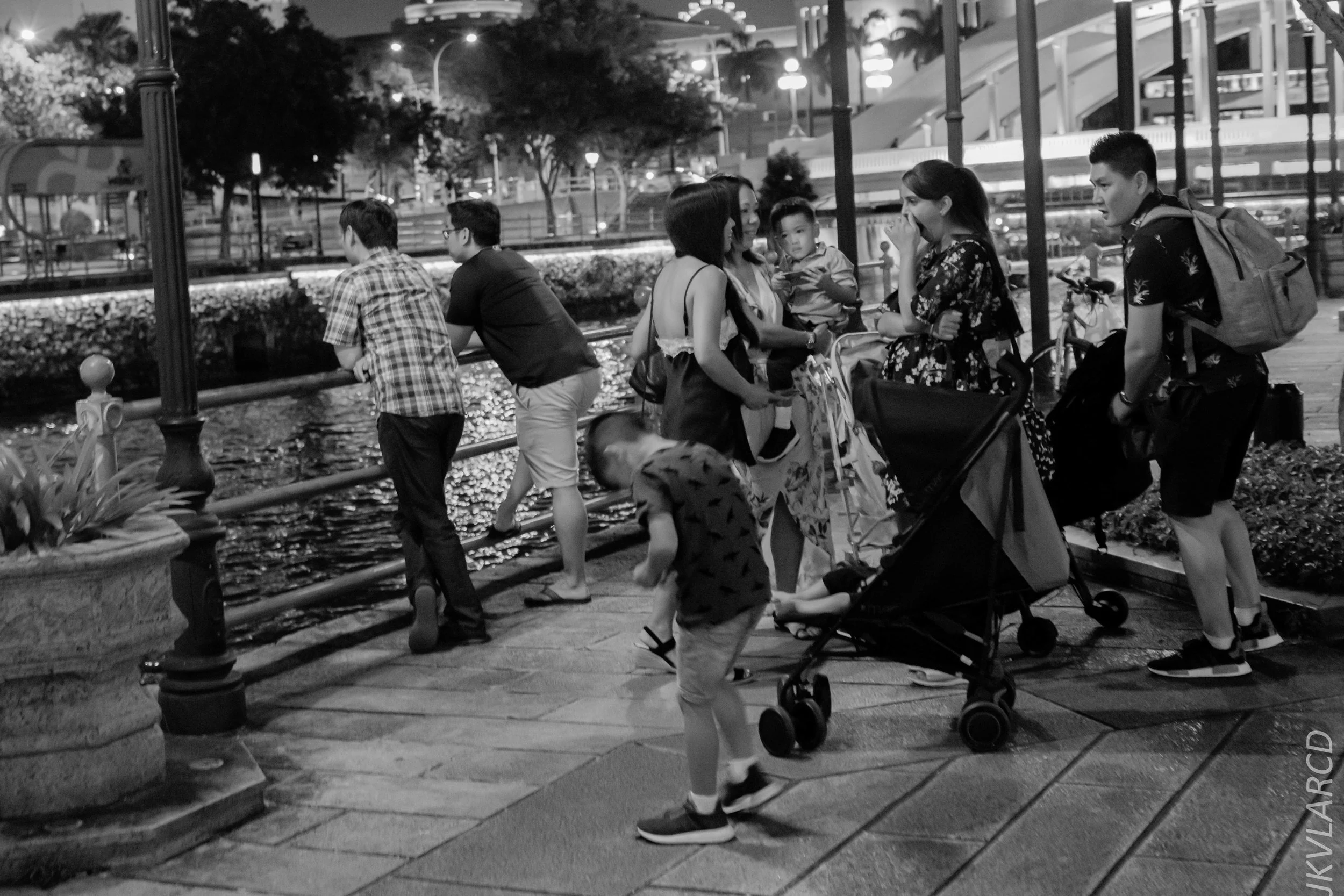 EOS 7D Mark II_2018_12_27_1240.jpg