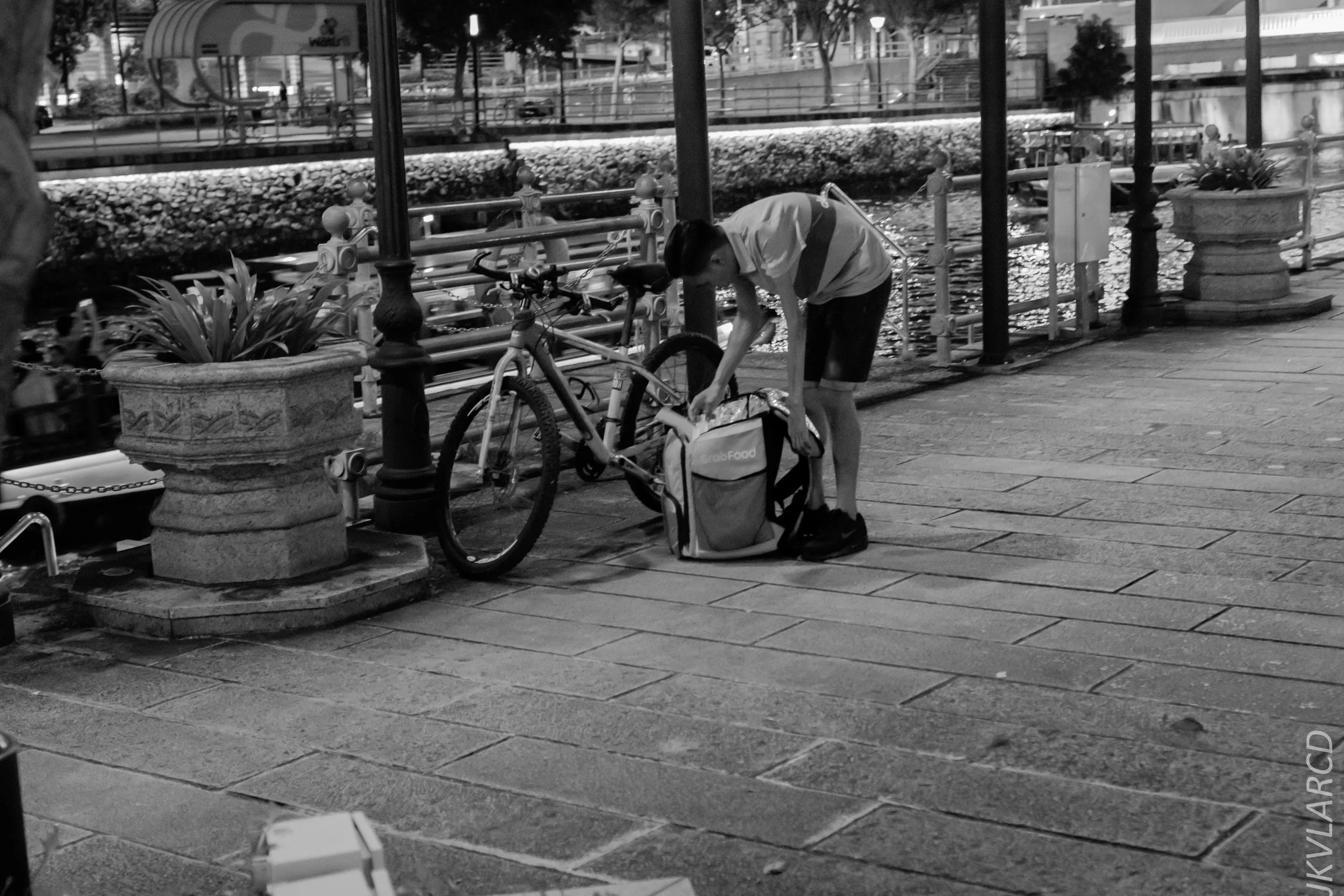 EOS 7D Mark II_2018_12_27_1241.jpg