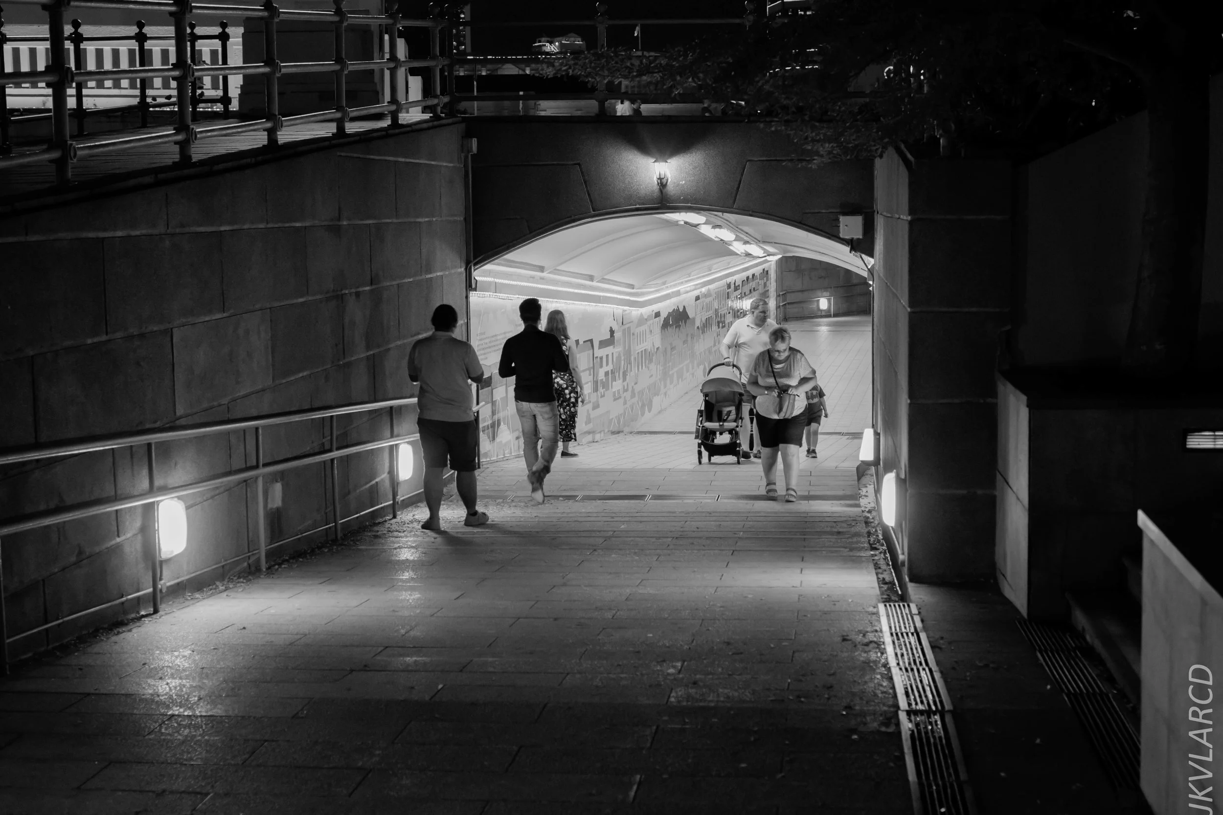 EOS 7D Mark II_2018_12_27_1245.jpg