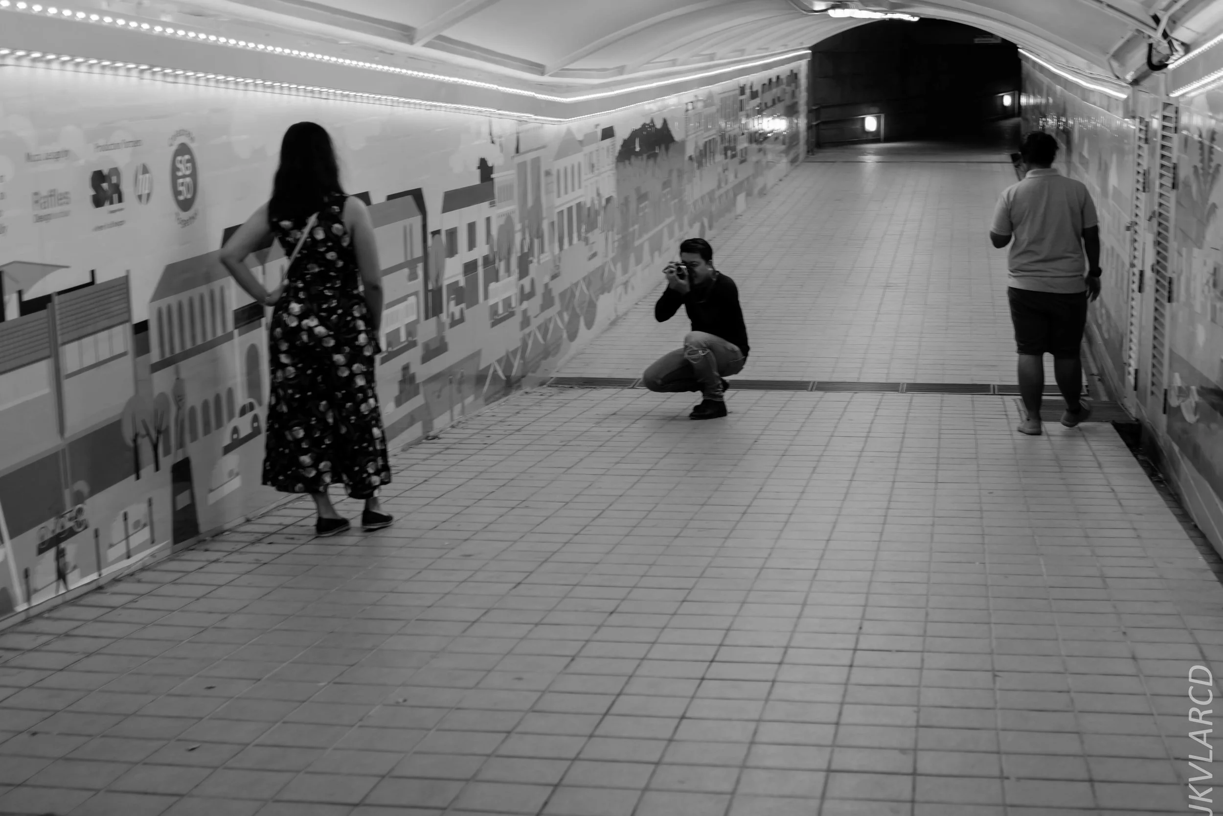 EOS 7D Mark II_2018_12_27_1246.jpg