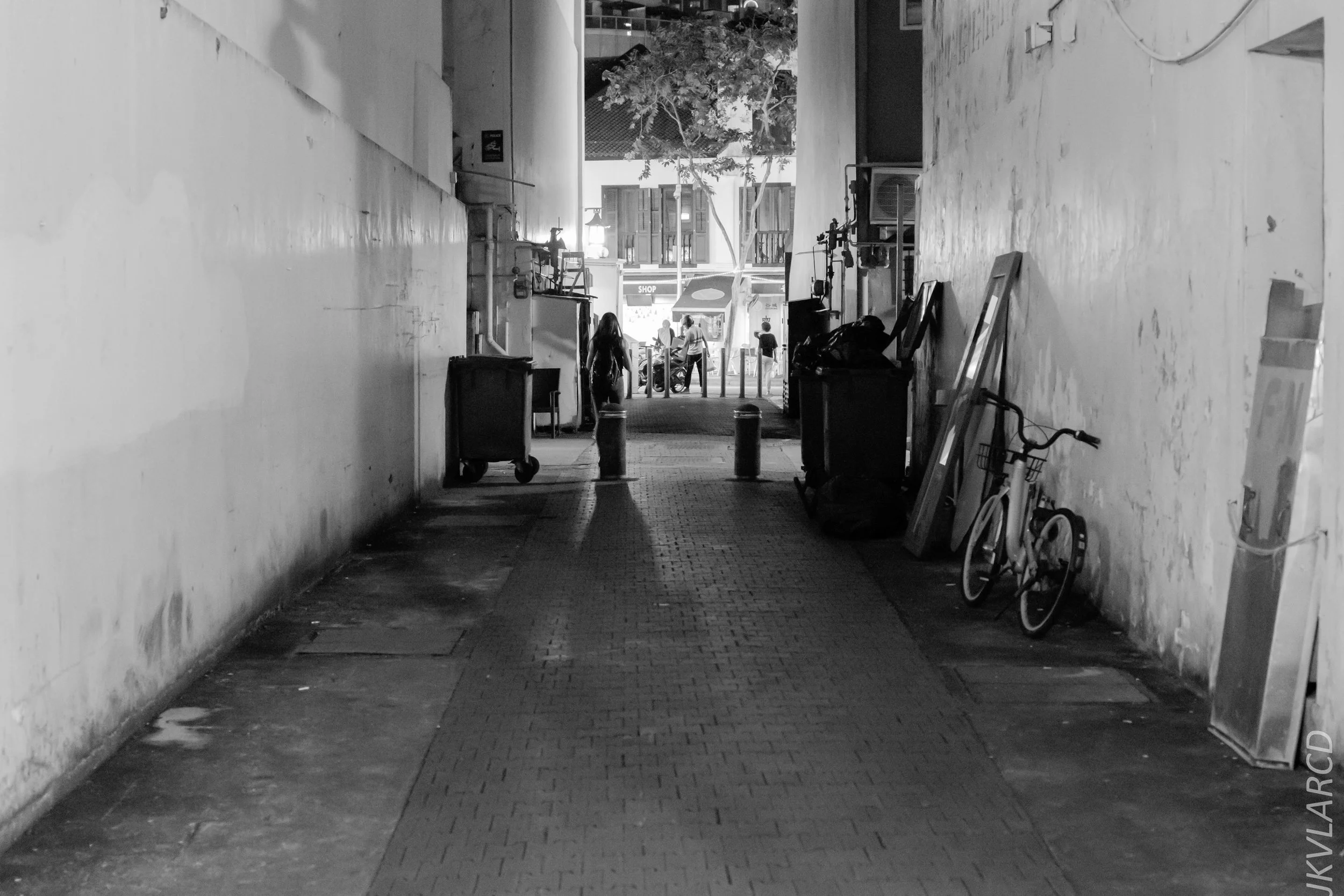 EOS 7D Mark II_2018_12_27_1257.jpg