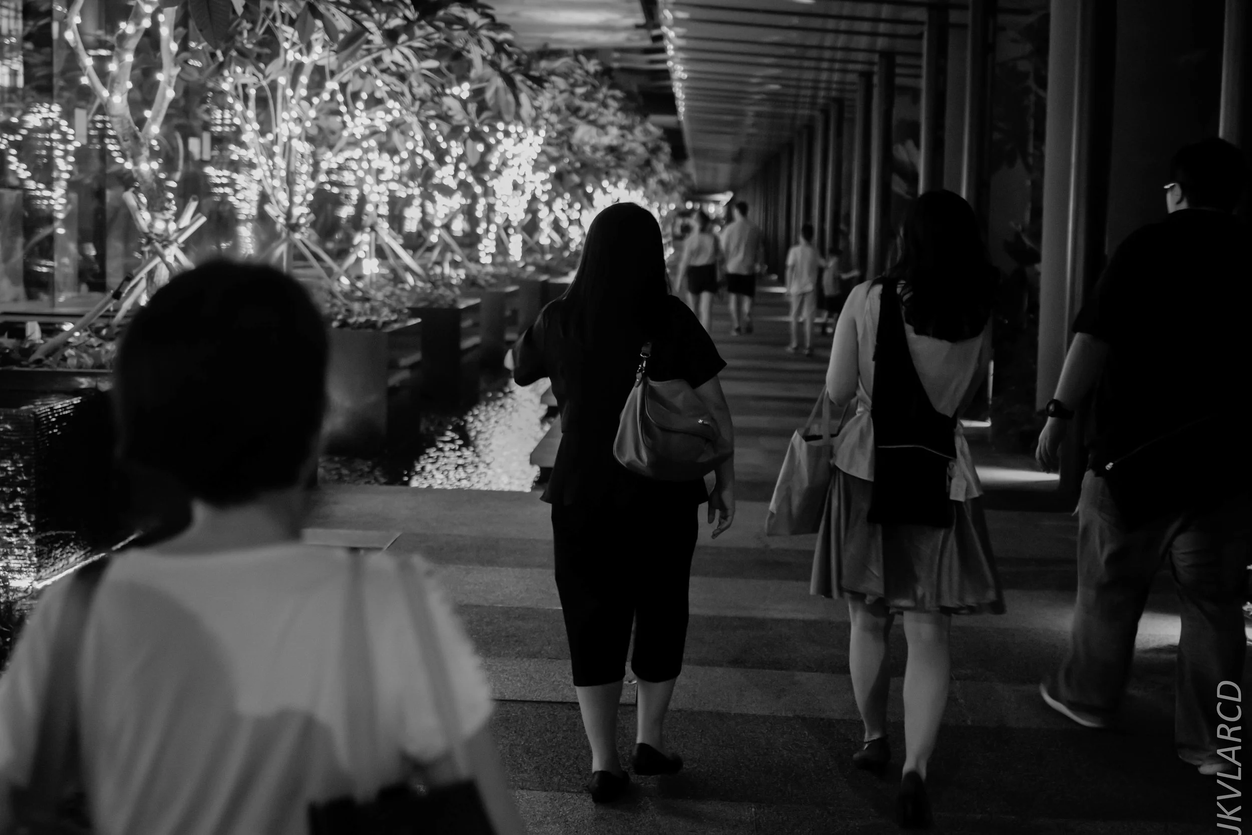 EOS 7D Mark II_2018_12_27_1285.jpg